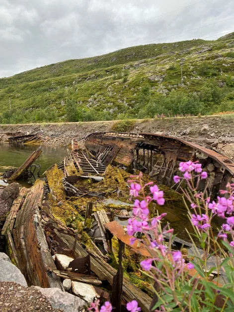 В погоне за китами (10/36)