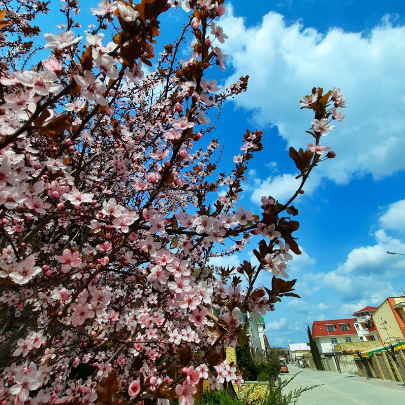 Активный тур в Крым. Горные просторы Судака (50/85)