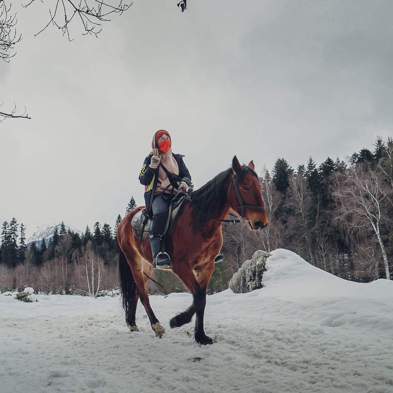 Конный тур в мини-группе Зимний Архыз (11/36)