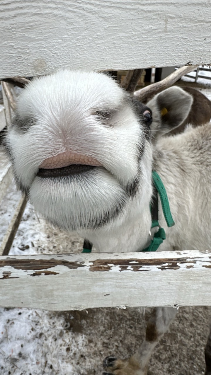 Конный тур в мини-группе Зимний Архыз (23/36)