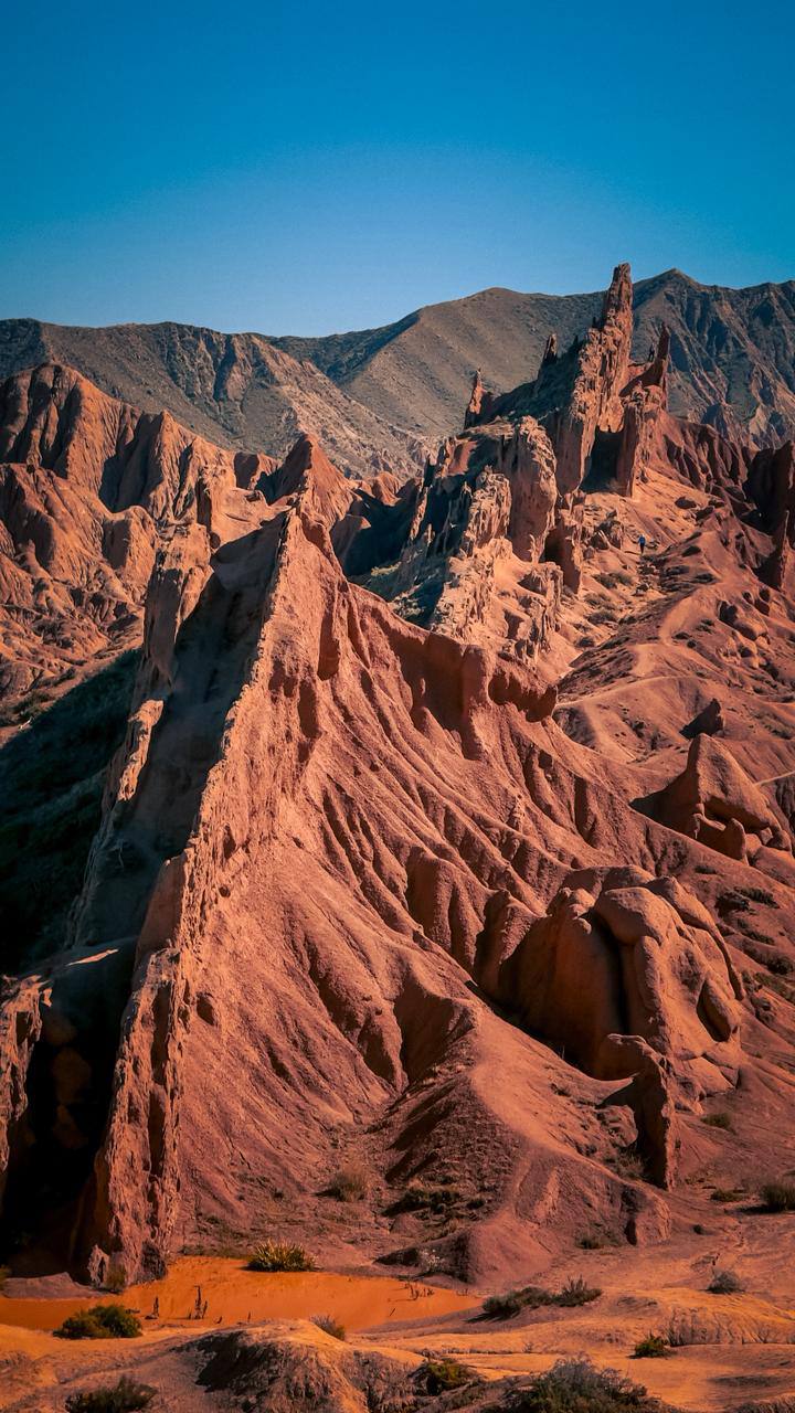 Первозданный Кыргызстан. Топ-10 мест. Все включено. (44/125)