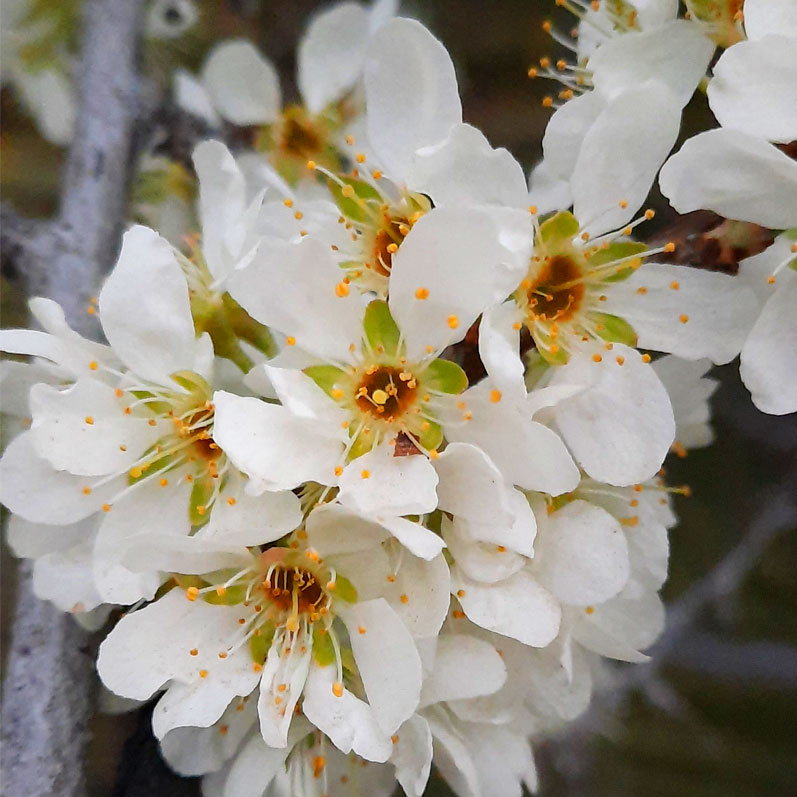 Активный тур в Крым. Горные просторы Судака (46/85)