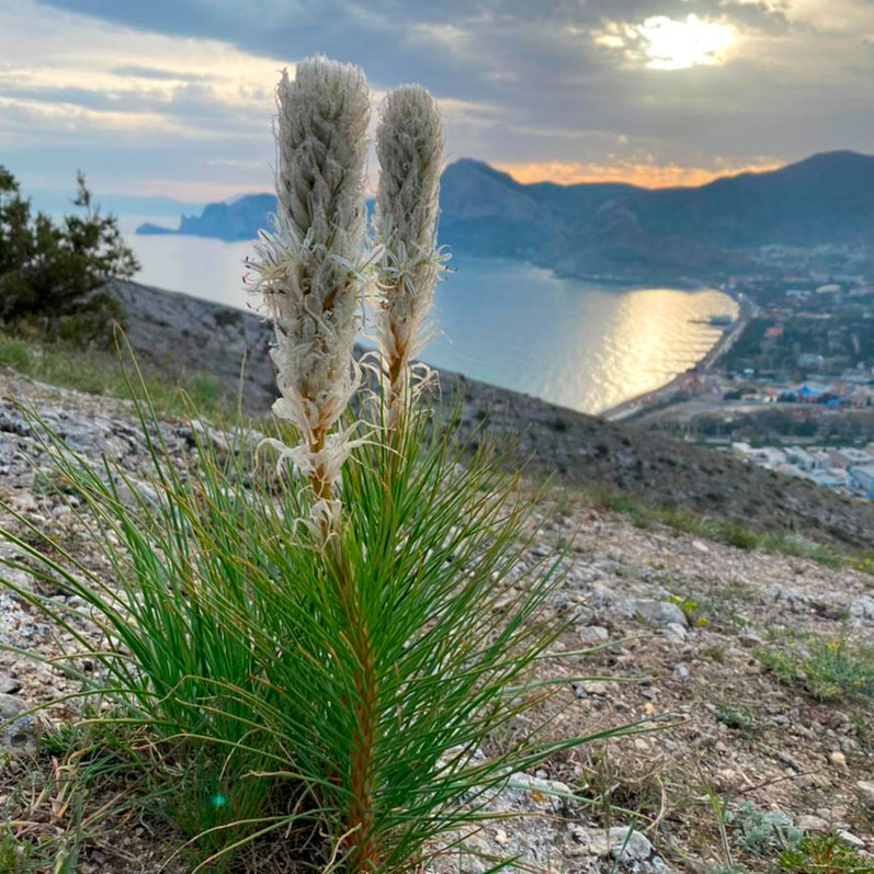 Активный тур в Крым. Горные просторы Судака (32/85)