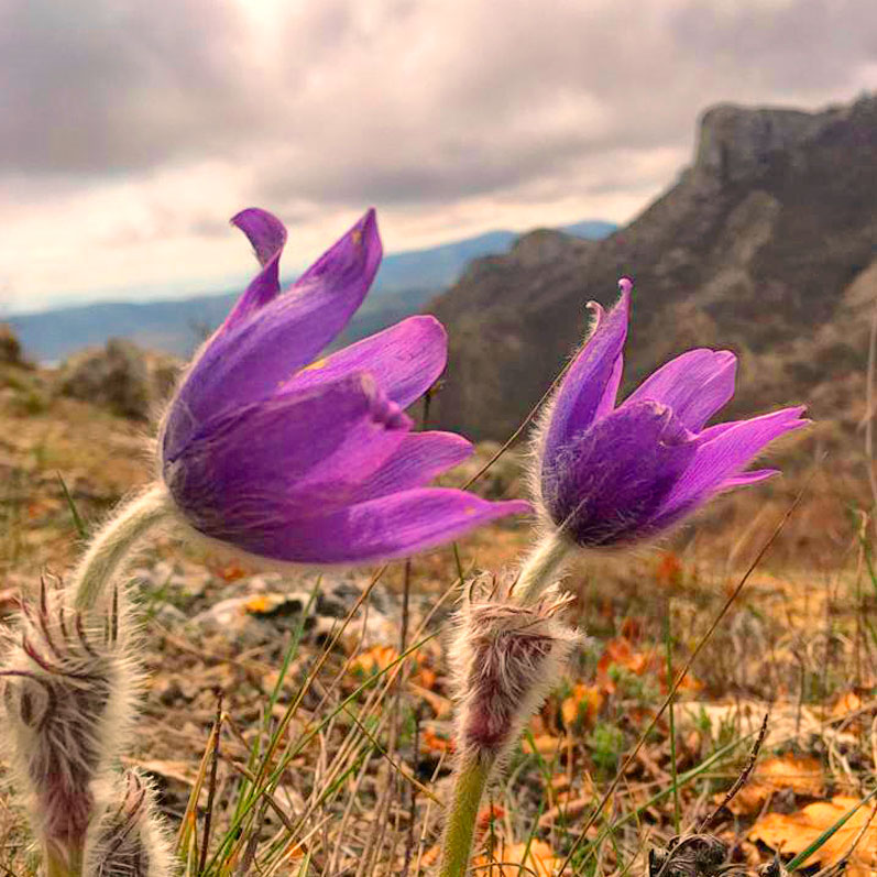 Активный тур в Крым. Горные просторы Судака (4/85)