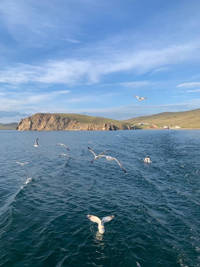 Красота и Сияние Байкала: Иркутск, Малое море, Ольхон, Огой и Сарминское ущелье! (59/69)