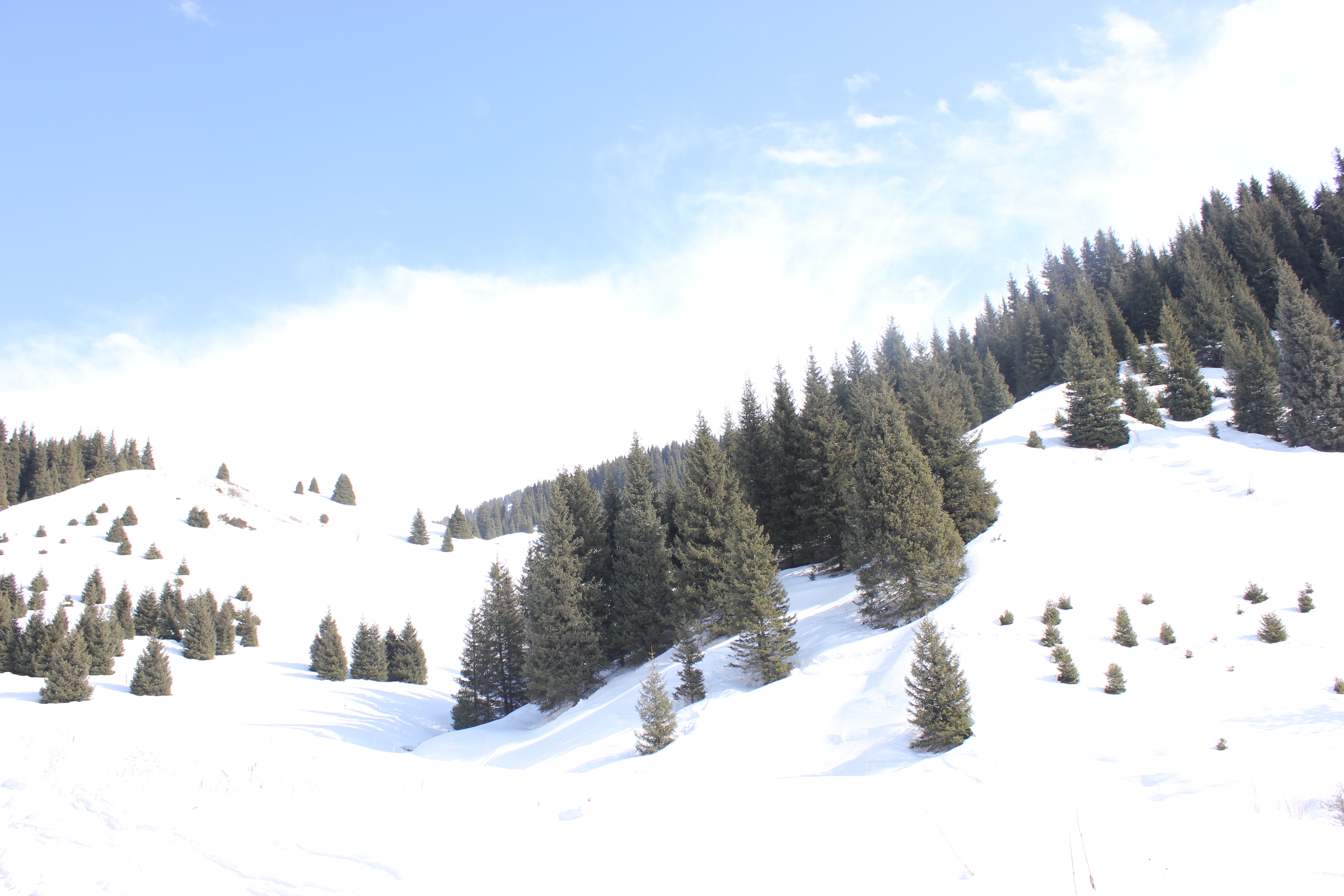 Треккинг в сердце природы — Алмарасан и Кок-Жайляу (5/35)