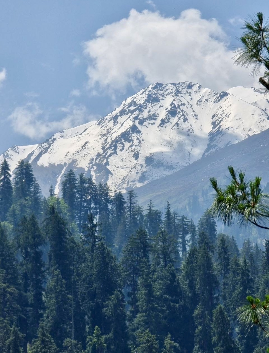 Индия: Долины Богов (41/92)