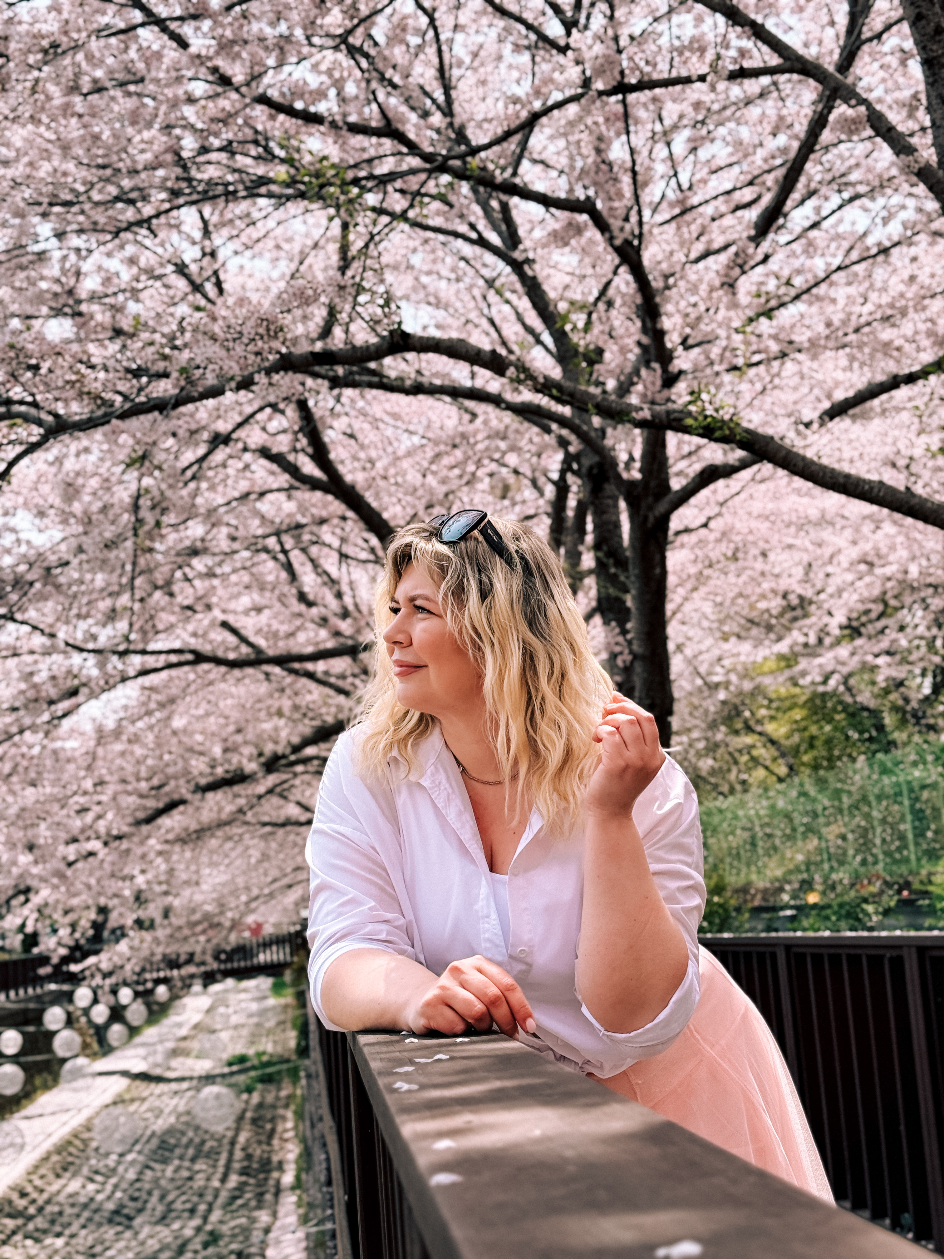 Цветение сакуры в Корее. Сеул+Пусан (51/94)