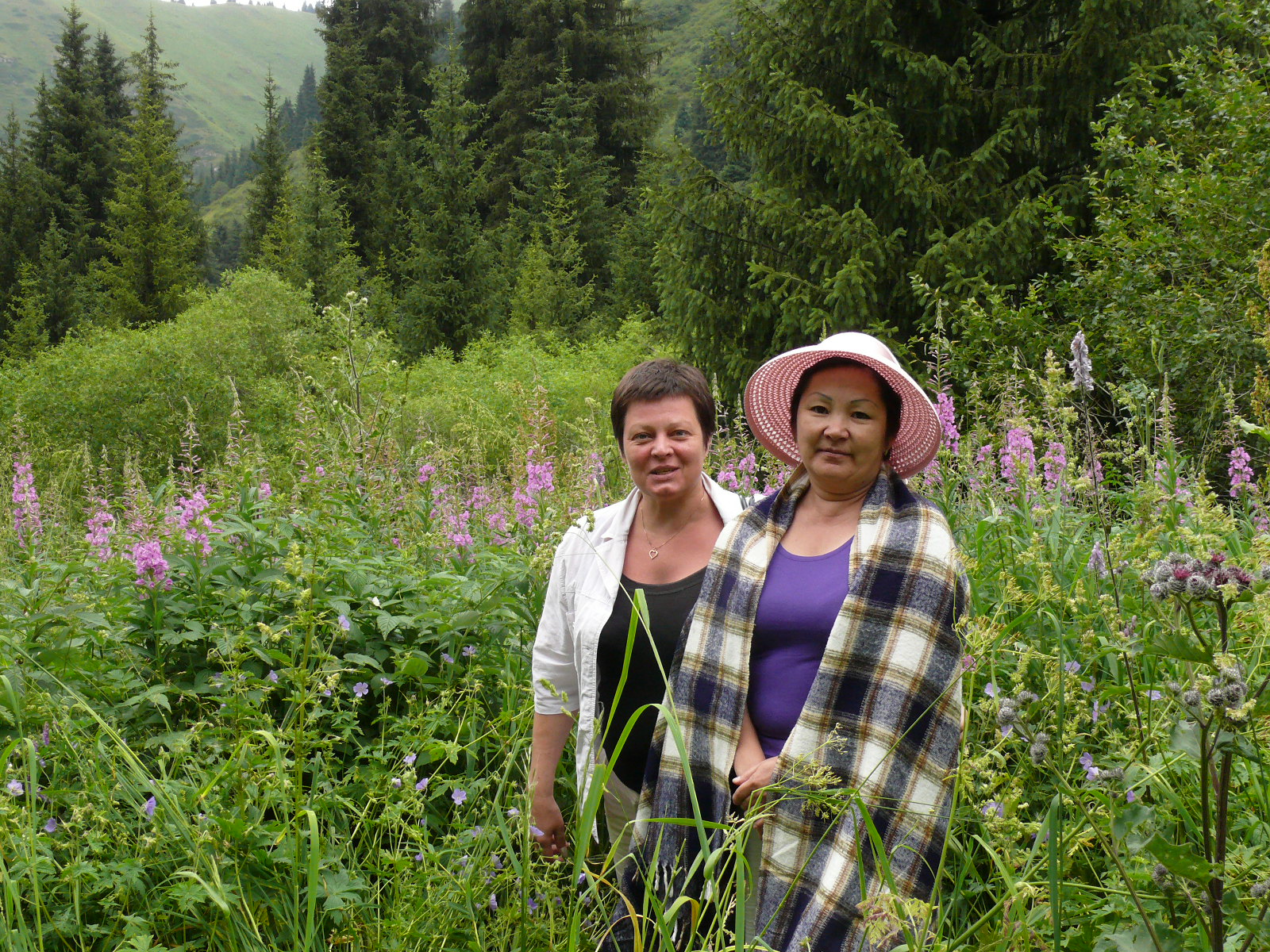 Треккинг в сердце природы — Алмарасан и Кок-Жайляу (19/35)