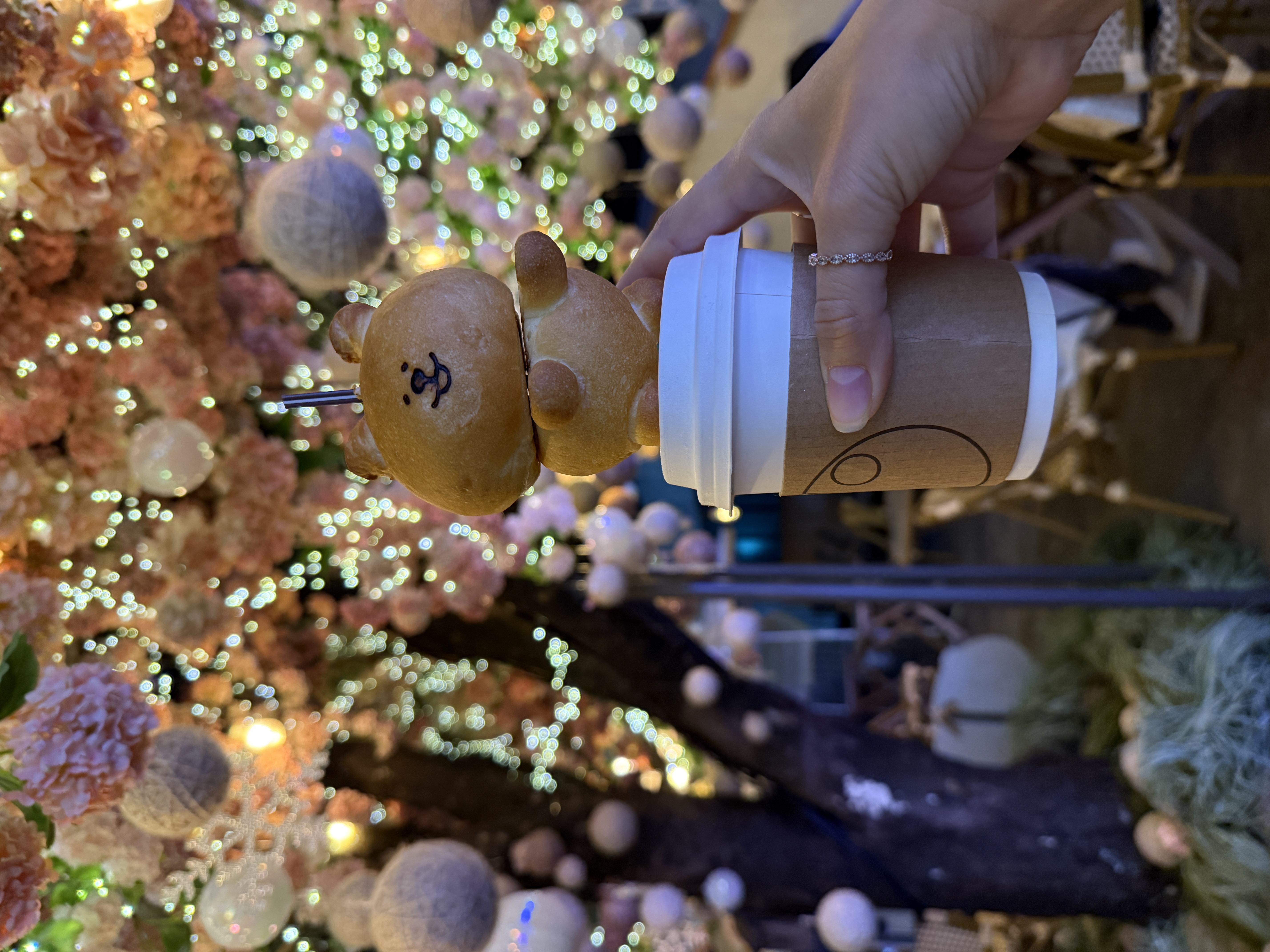 Цветение сакуры в Корее. Сеул+Пусан (62/94)