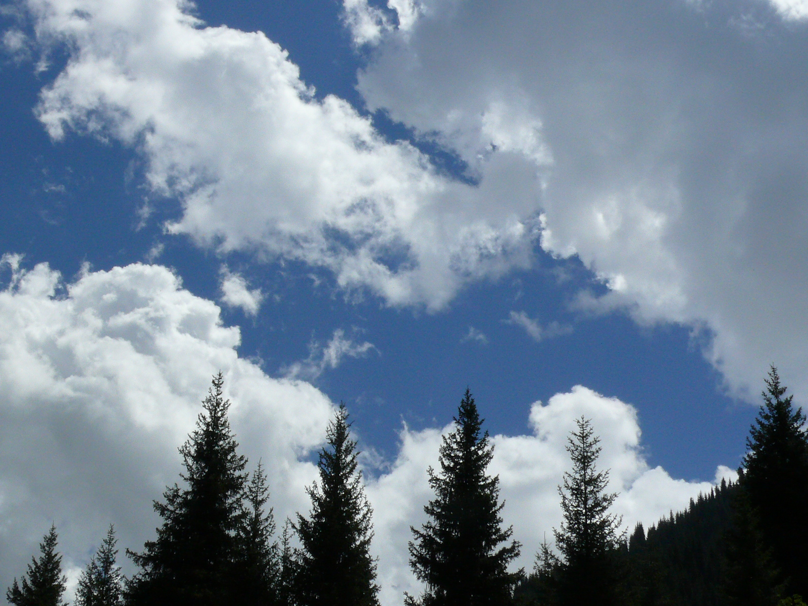 Треккинг в сердце природы — Алмарасан и Кок-Жайляу (12/35)