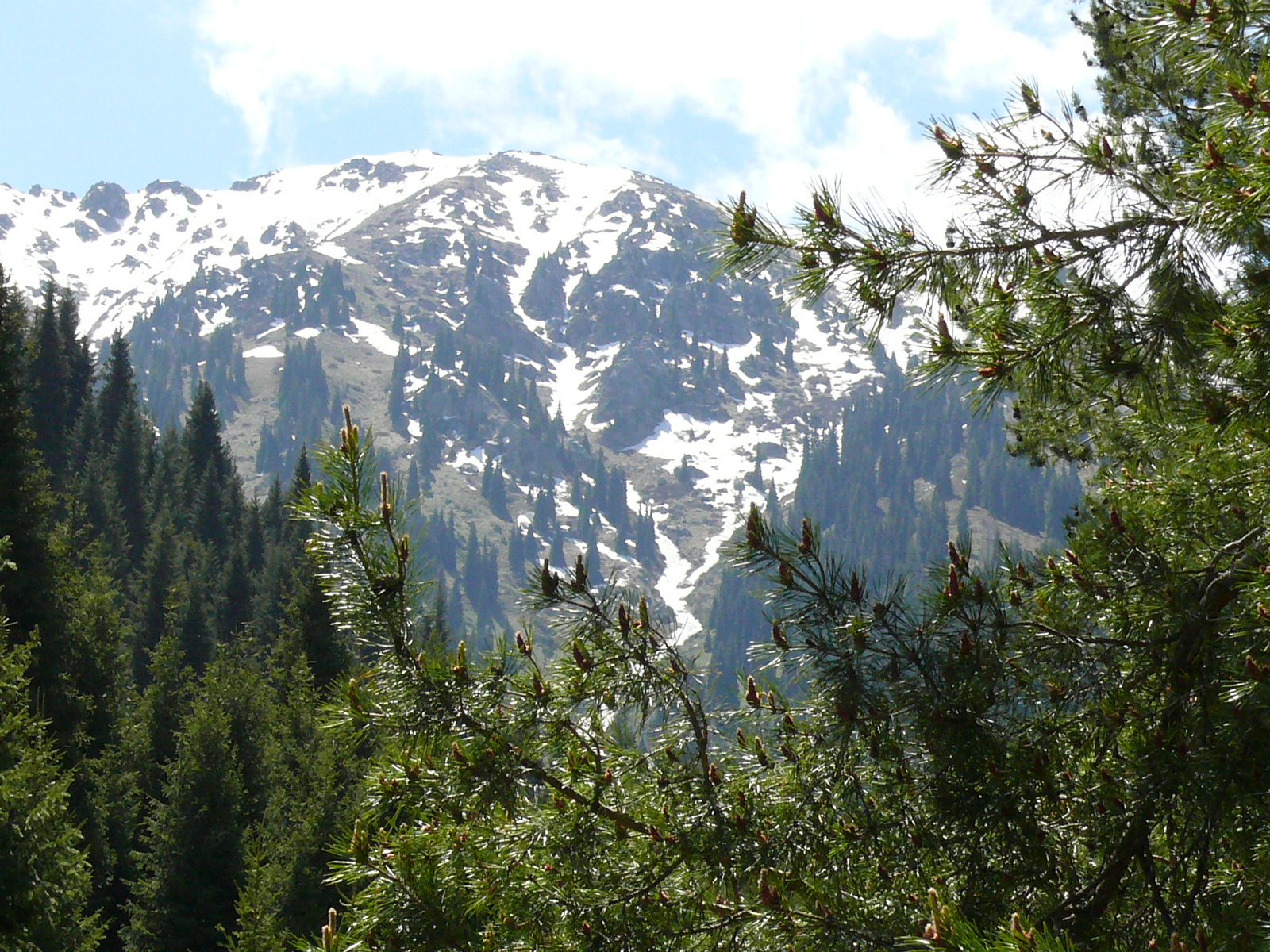 Треккинг в сердце природы — Алмарасан и Кок-Жайляу (18/35)