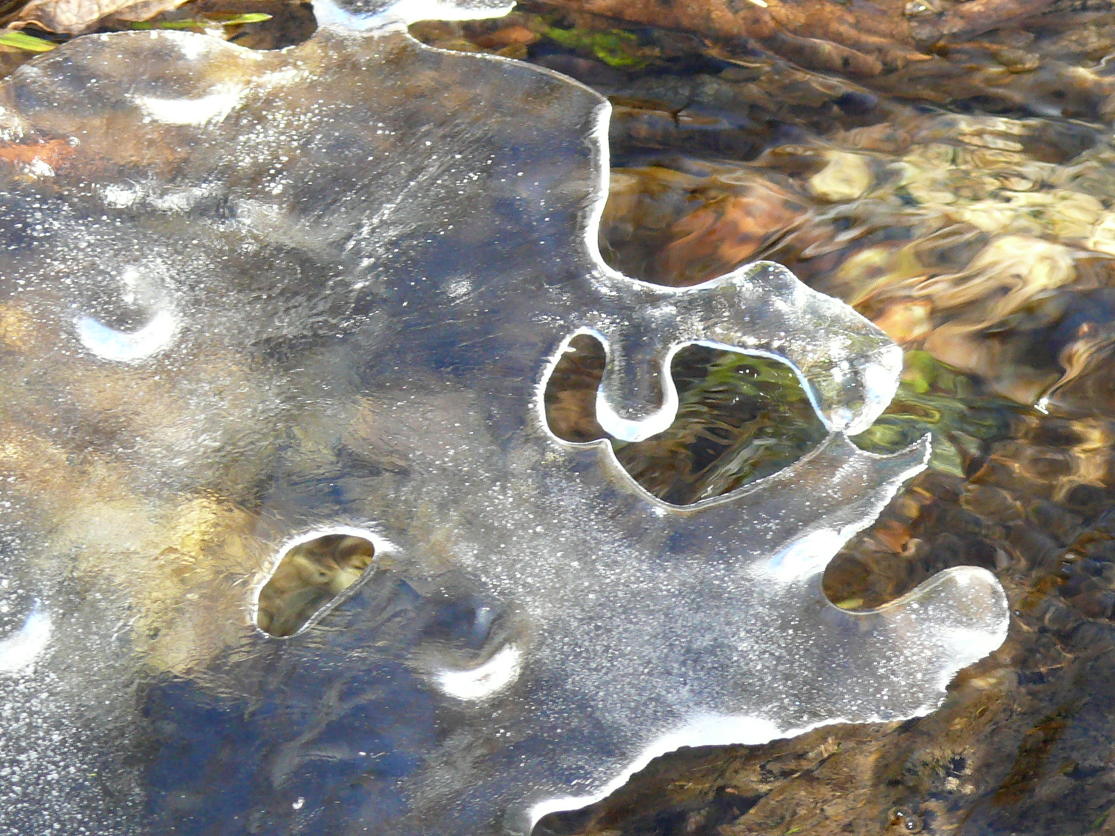 Треккинг в сердце природы — Алмарасан и Кок-Жайляу (8/35)