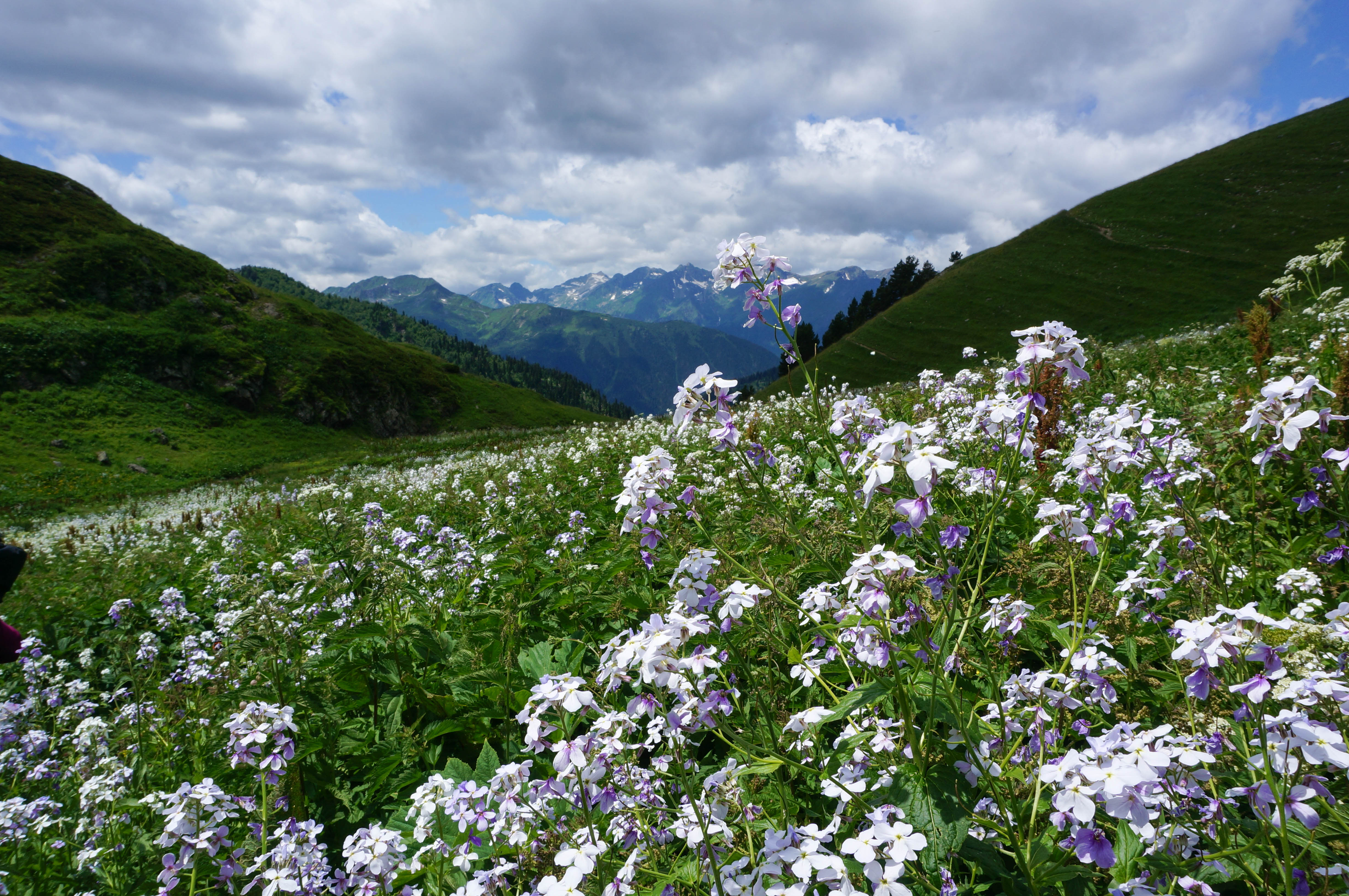Поход на Кавказ. Загеданские озера (7/85)