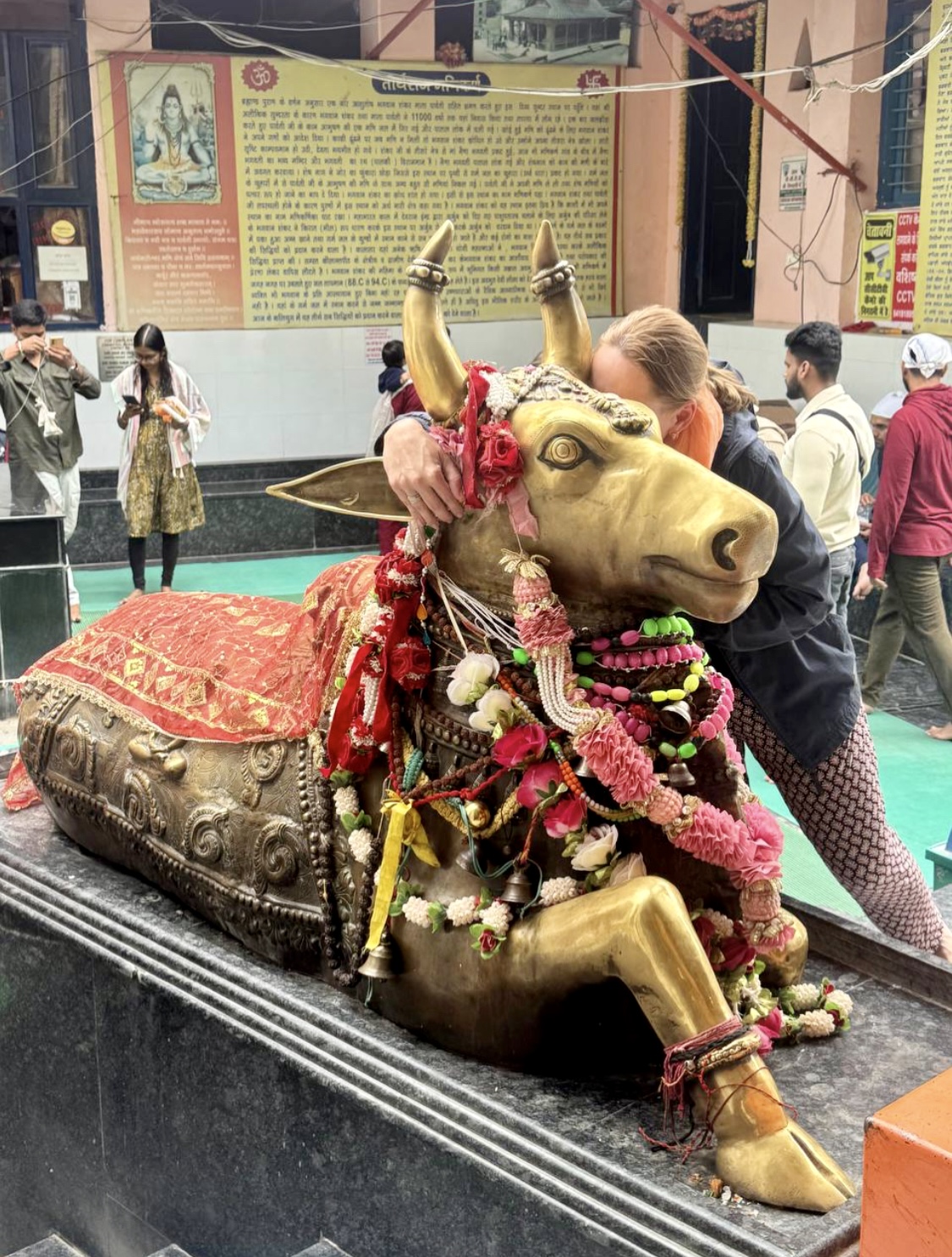 Индия: Долины Богов (28/92)