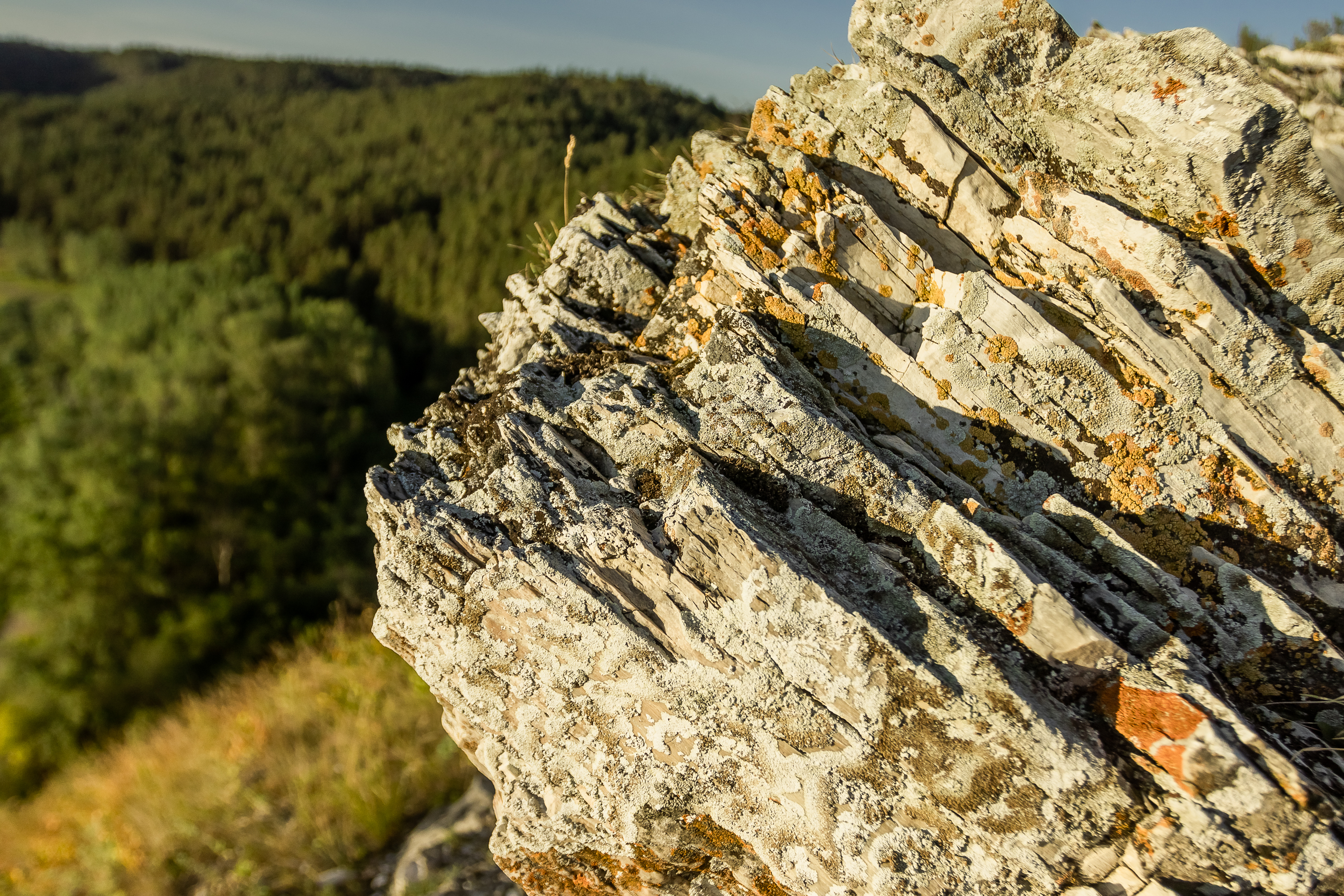 Заповедные горы (лето) (7/8)