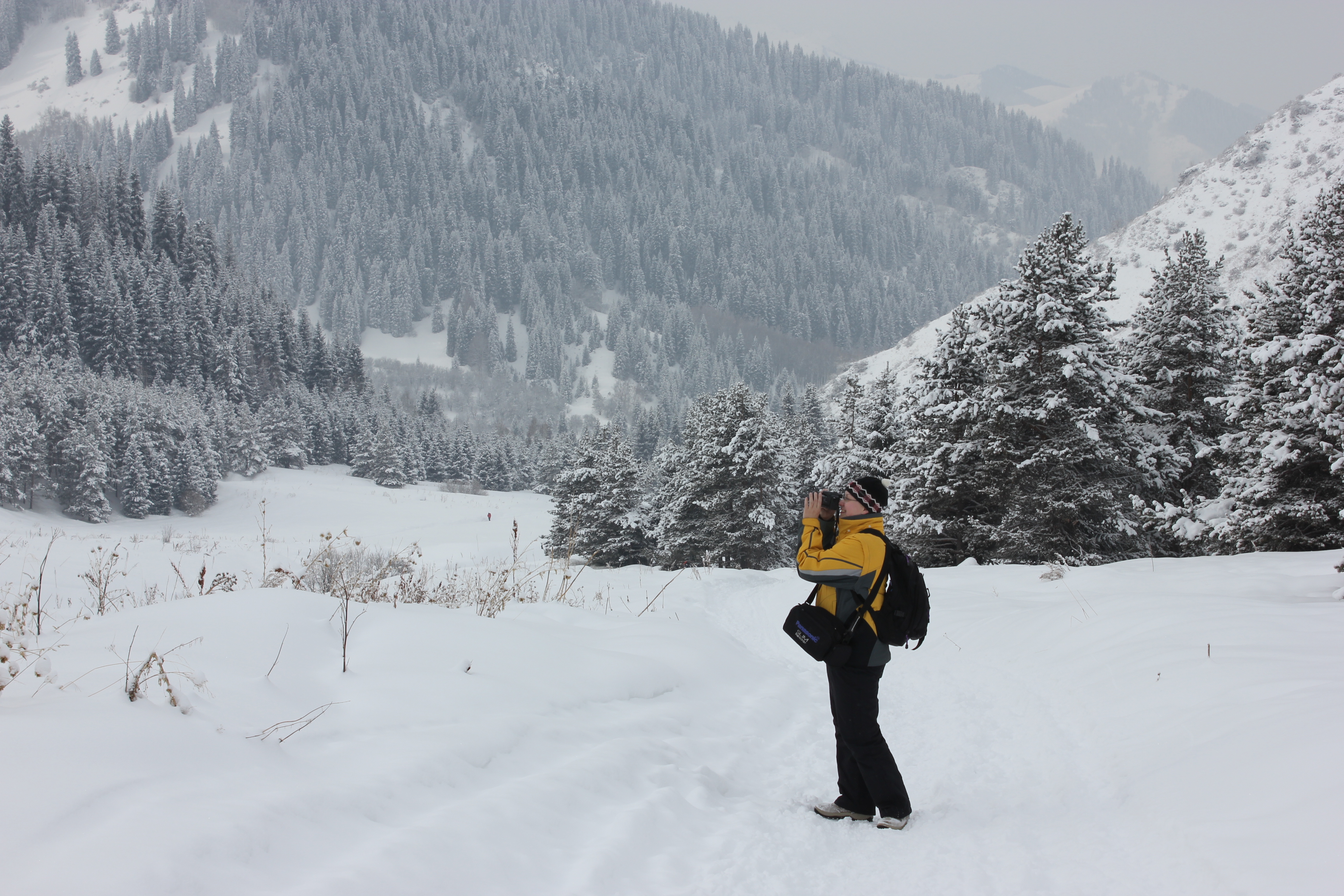Треккинг в сердце природы — Алмарасан и Кок-Жайляу (4/35)