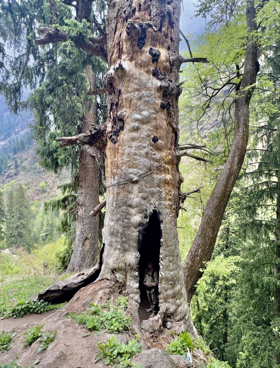 Индия: Долины Богов (48/92)