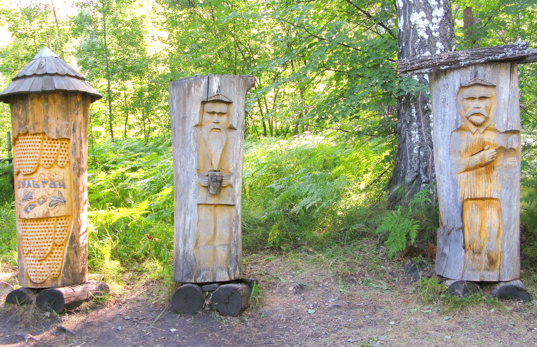 Заповедные горы (лето) (6/8)