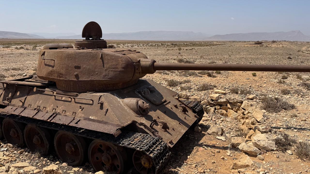 Сокотра: всё самое интересное за одну неделю (20/36)