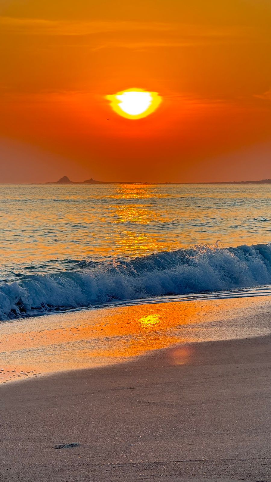 Сокотра: всё самое интересное за одну неделю (30/36)