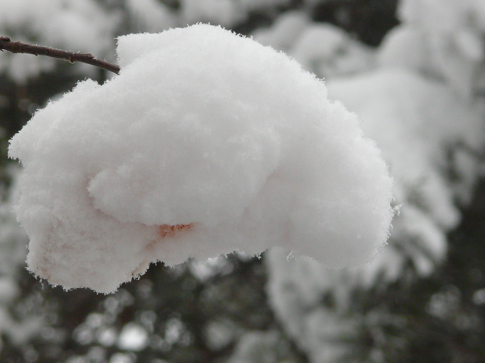 Треккинг в сердце природы — Алмарасан и Кок-Жайляу (9/35)