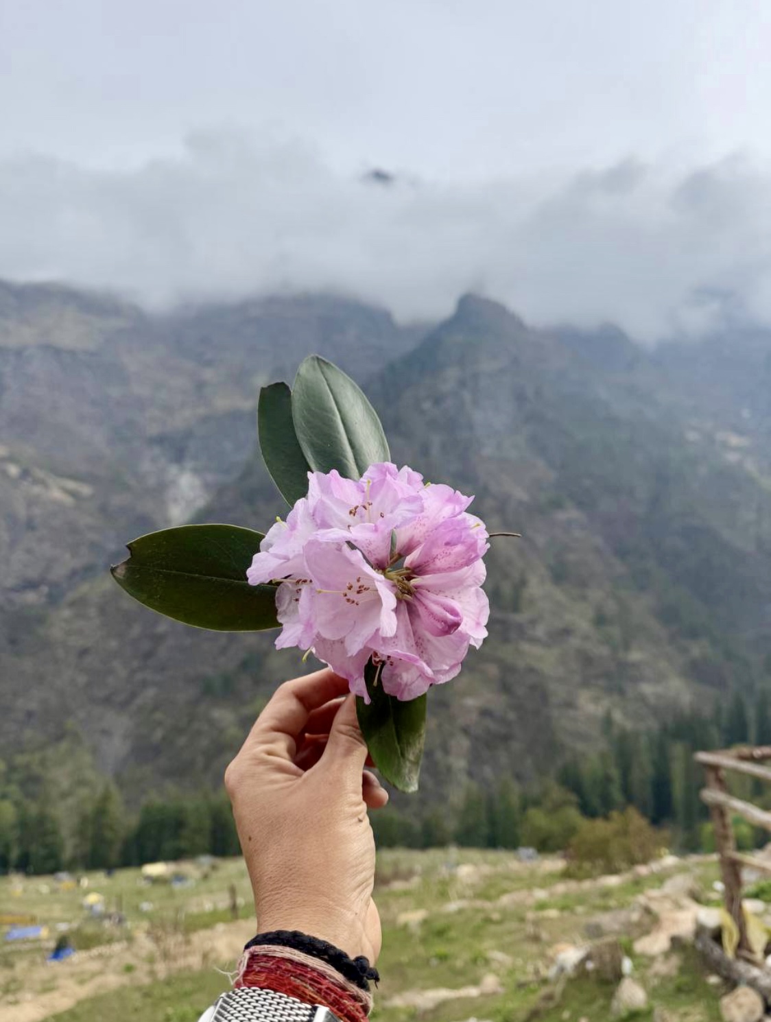 Индия: Долины Богов (29/92)