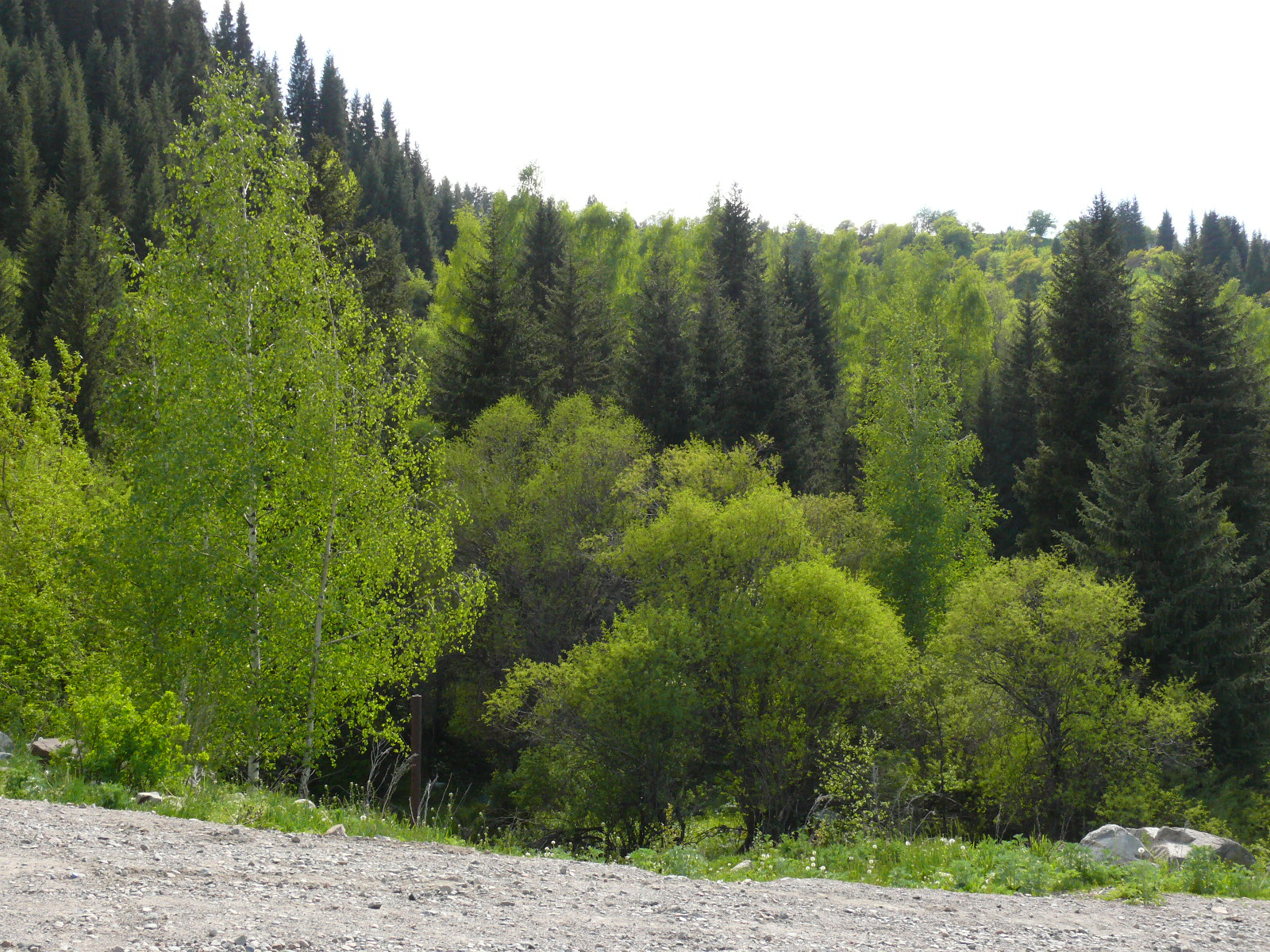 Треккинг в сердце природы — Алмарасан и Кок-Жайляу (34/35)