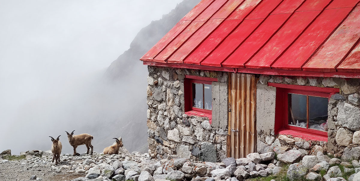 Поход с рюкзаками в Безенги (4/38)