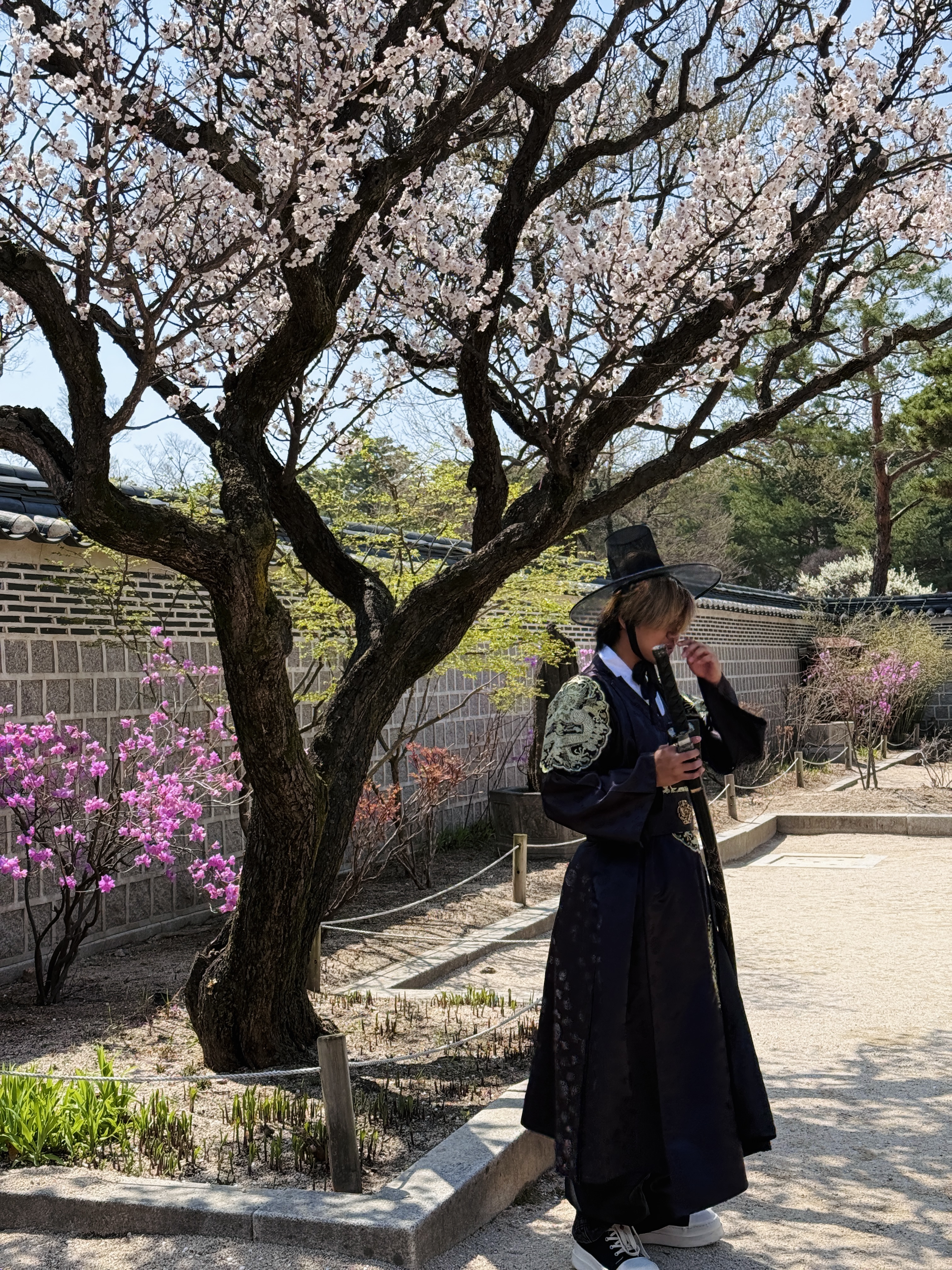 Цветение сакуры в Корее. Сеул+Пусан (43/94)