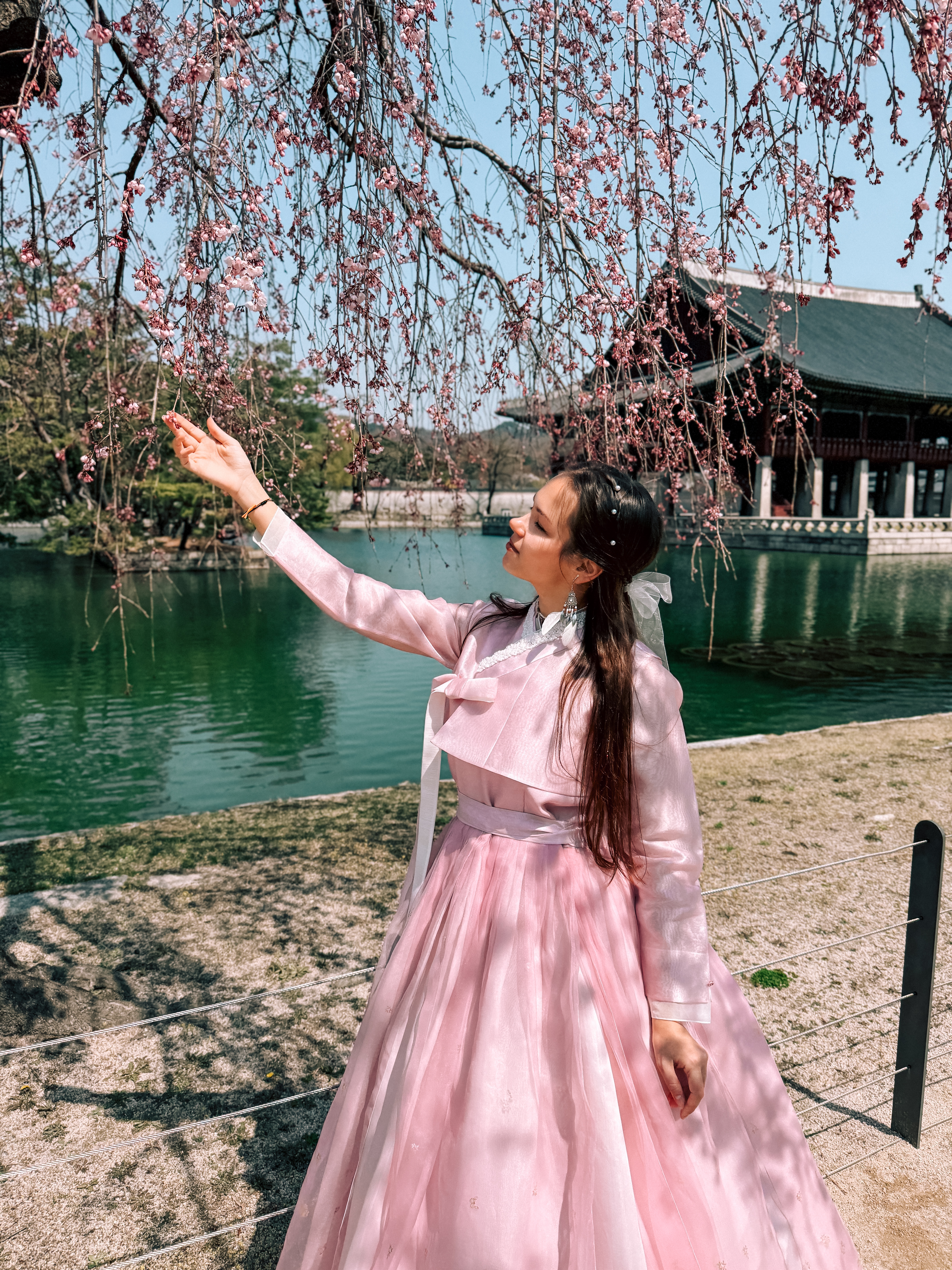 Цветение сакуры в Корее. Сеул+Пусан