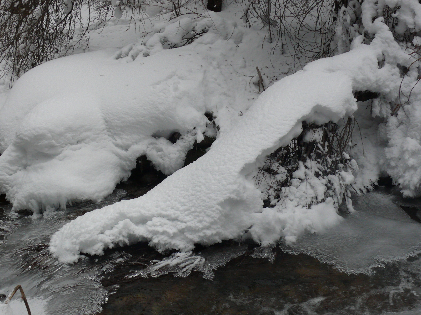 Треккинг в сердце природы — Алмарасан и Кок-Жайляу (11/35)