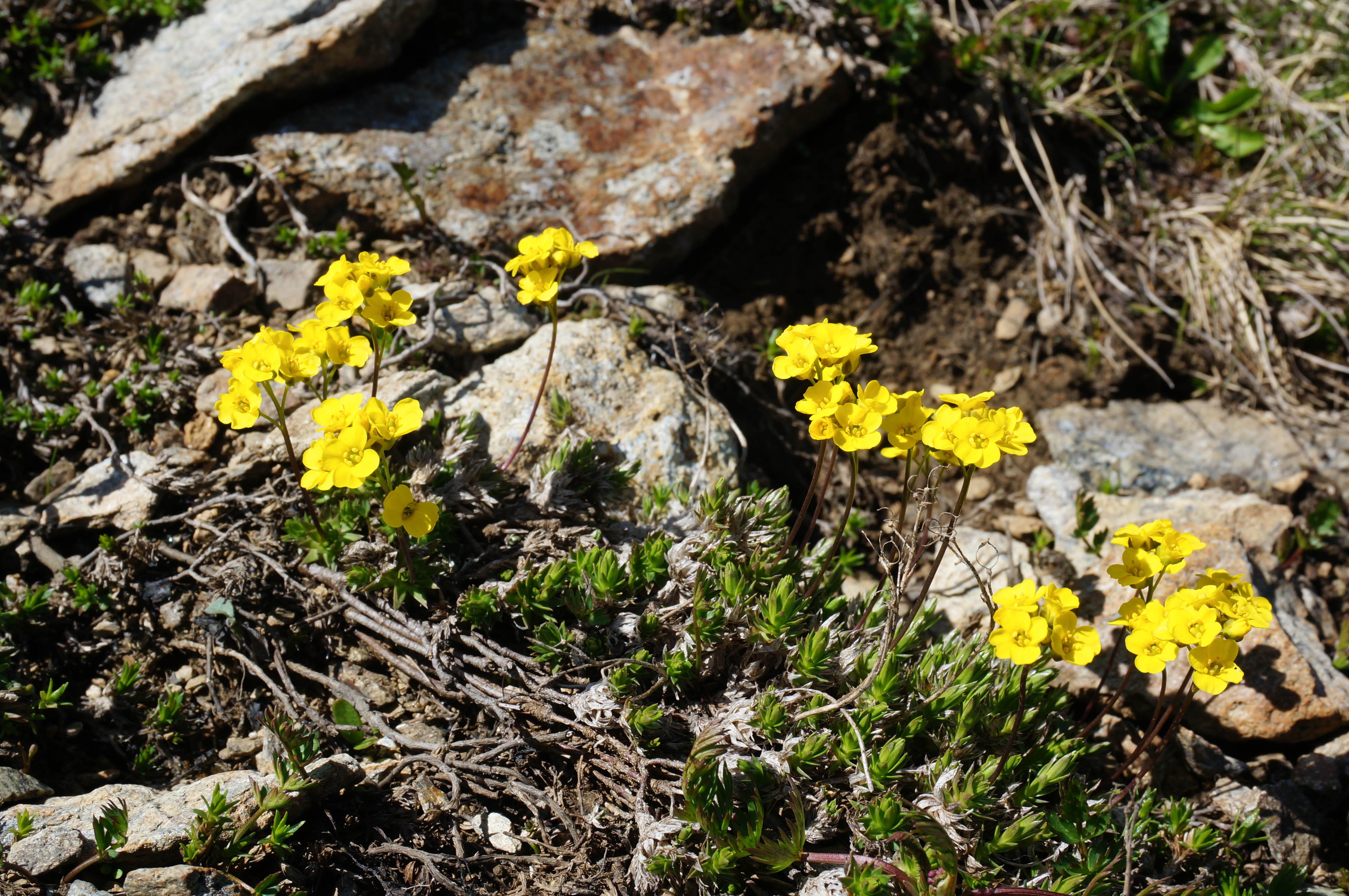 Поход на Кавказ. Загеданские озера (38/85)