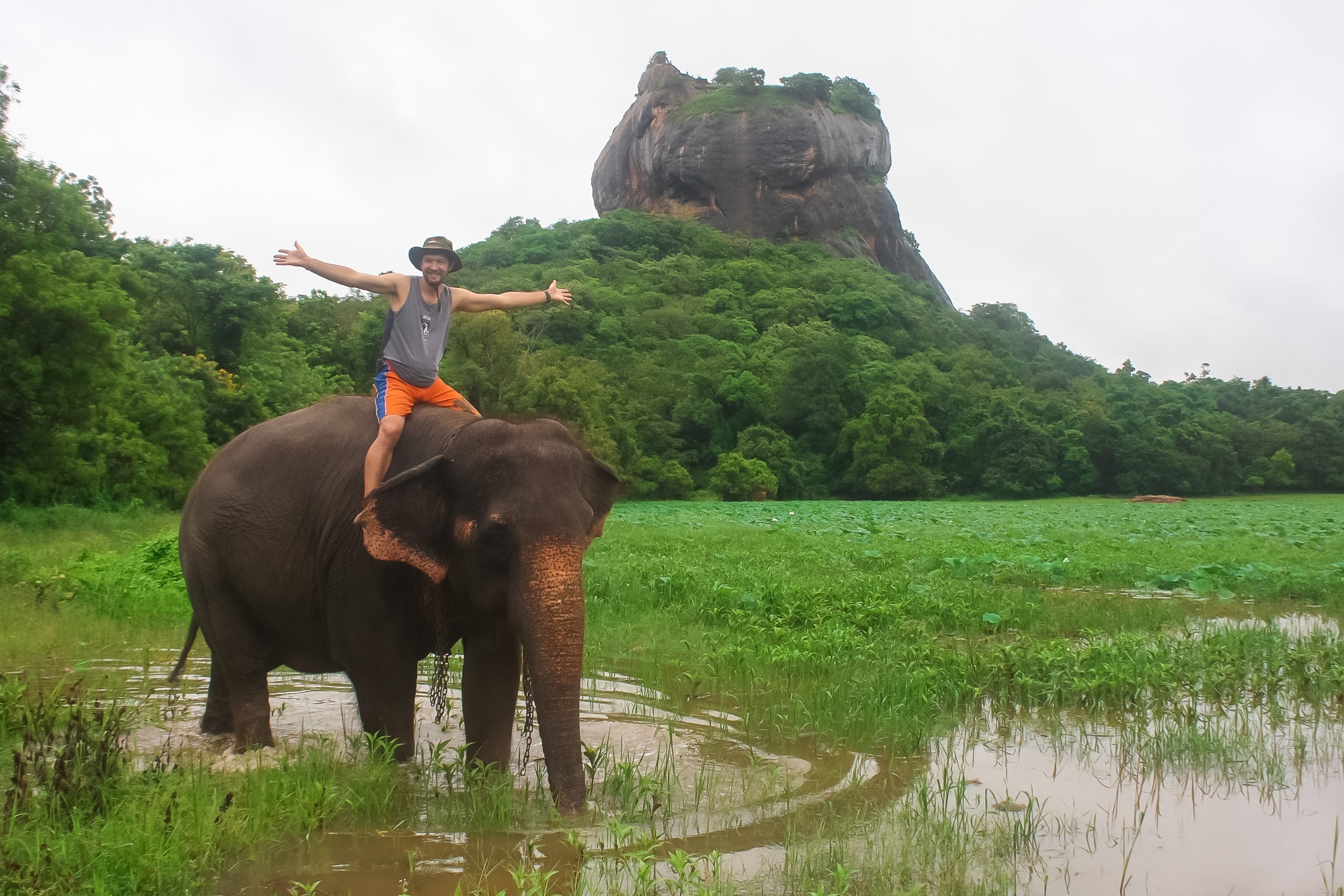 Шри-Ланка: океан, сафари и пик Адама (2/14)