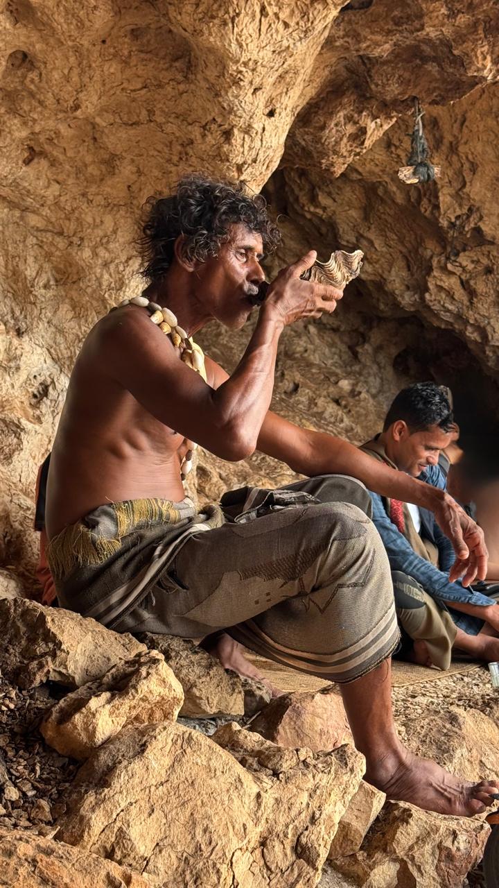 Сокотра: всё самое интересное за одну неделю (26/36)