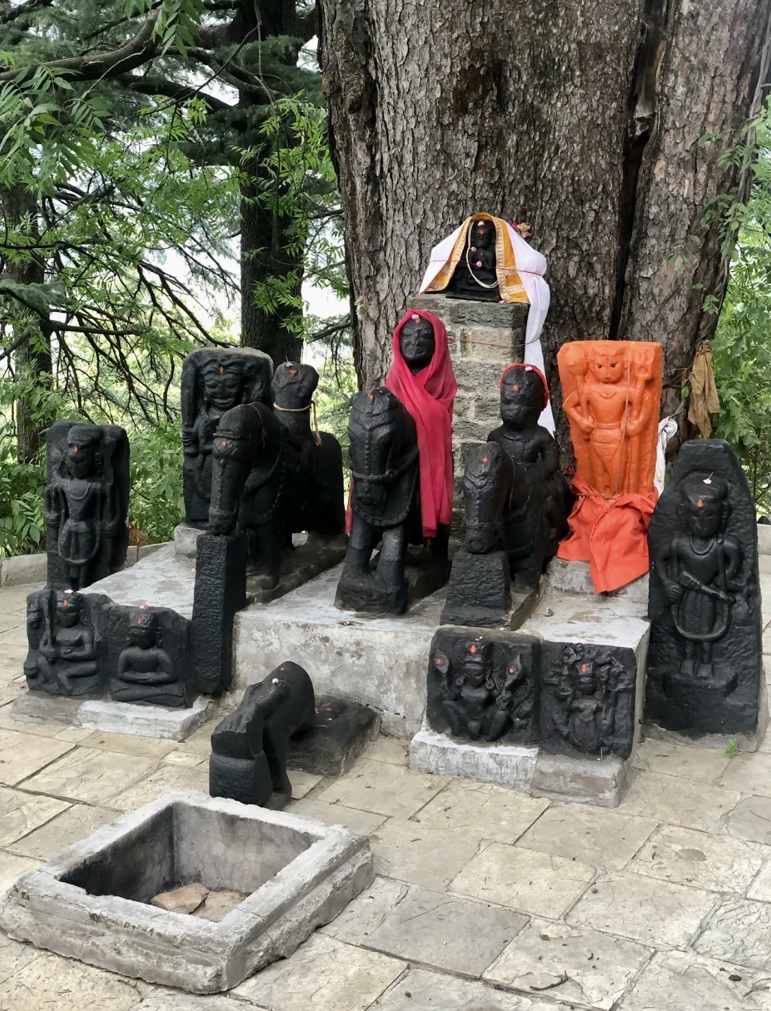 Индия: Долины Богов (37/92)