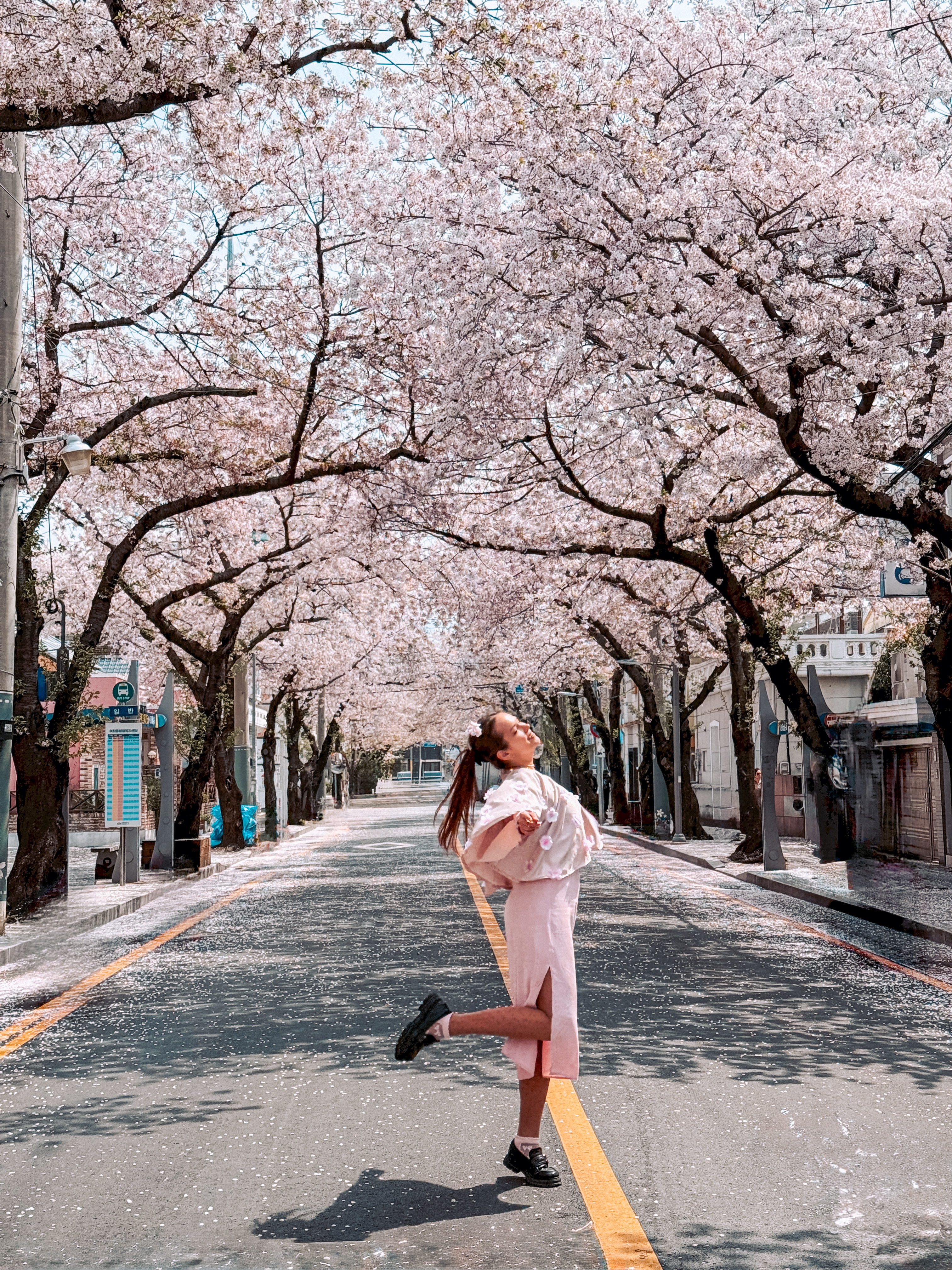 Цветение сакуры в Корее. Сеул+Пусан (49/94)