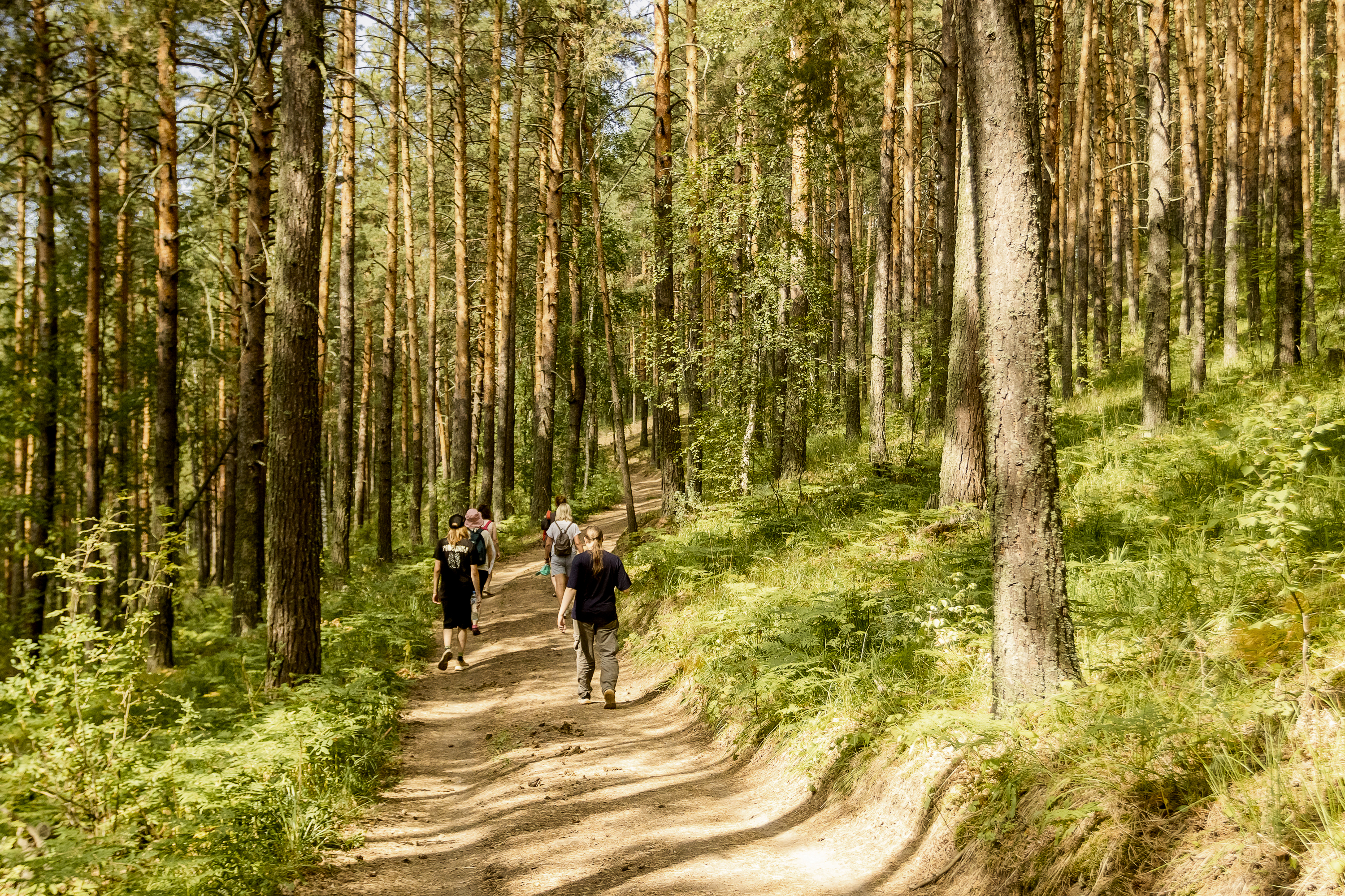 Заповедные горы (лето) (8/8)