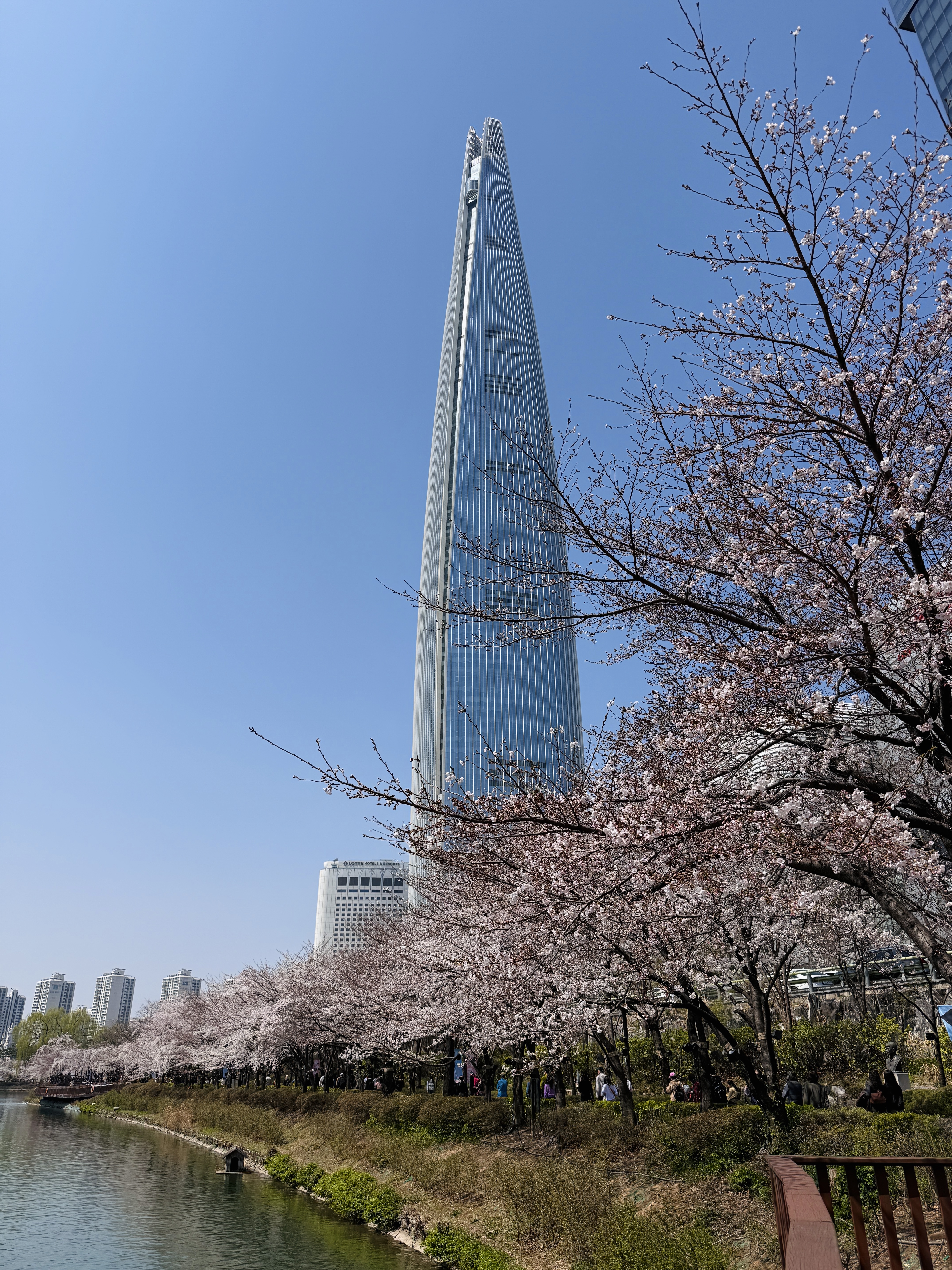 Цветение сакуры в Корее. Сеул+Пусан (47/94)