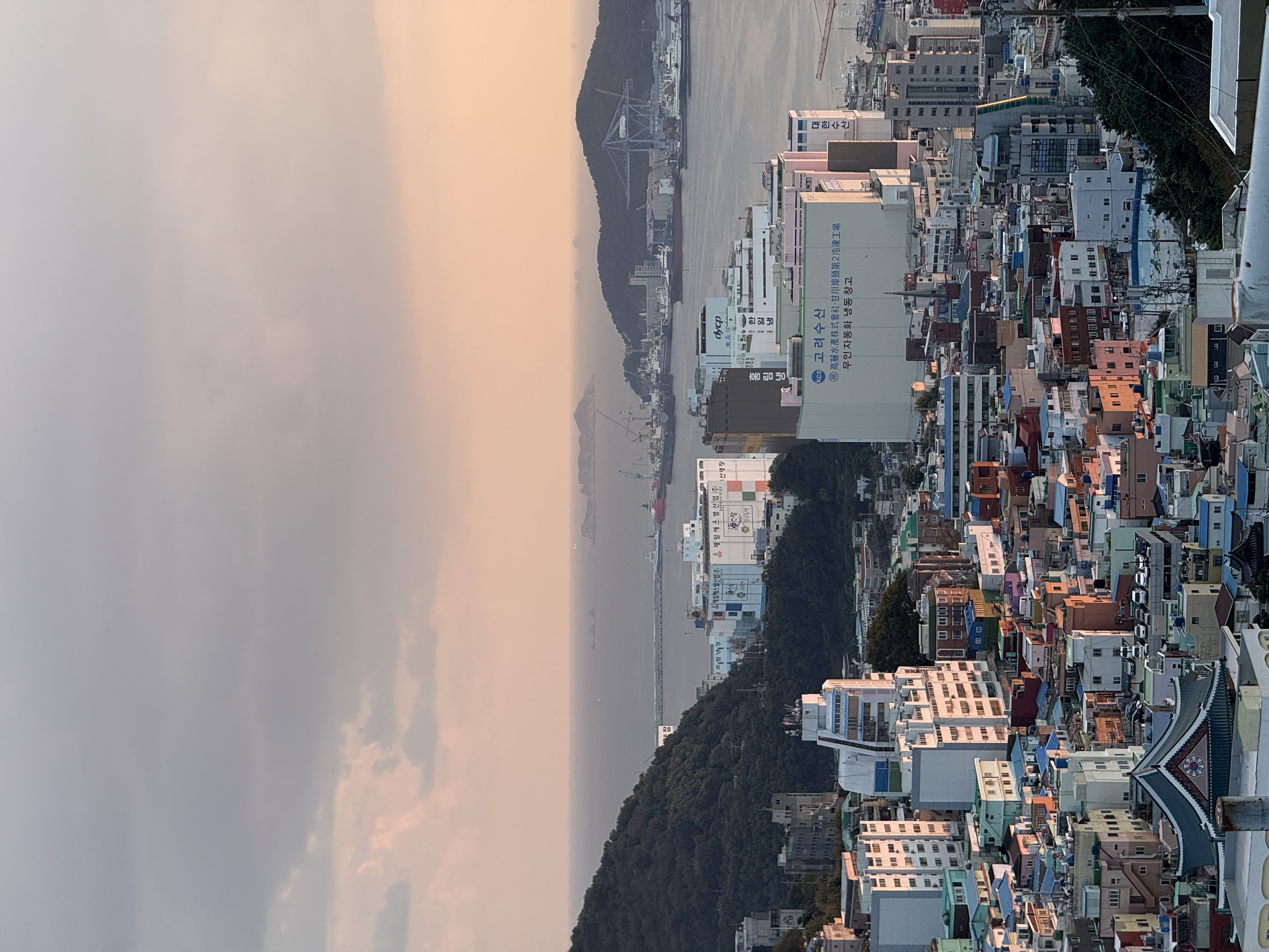 Цветение сакуры в Корее. Сеул+Пусан (66/94)