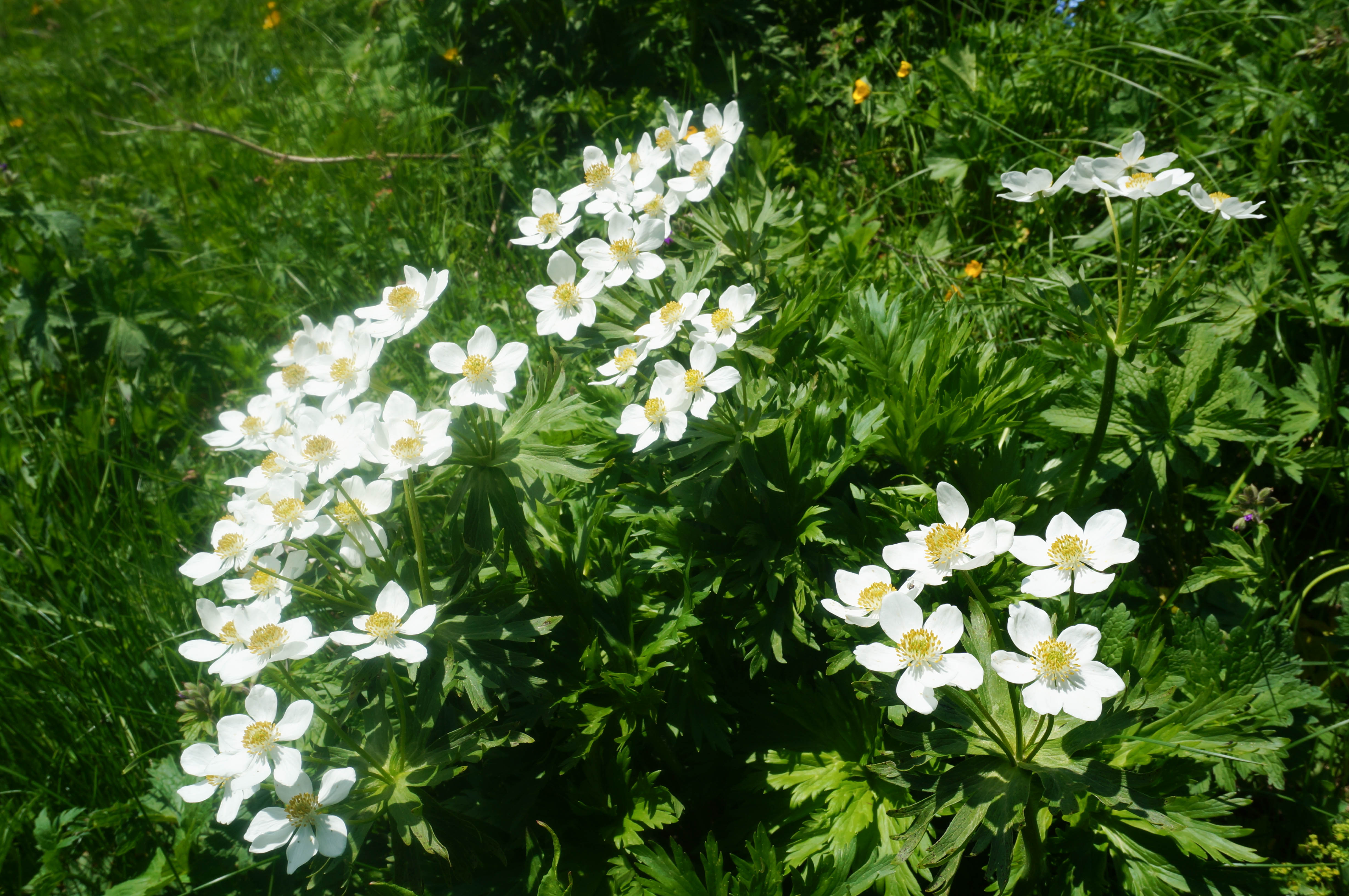 Поход на Кавказ. Загеданские озера (61/85)