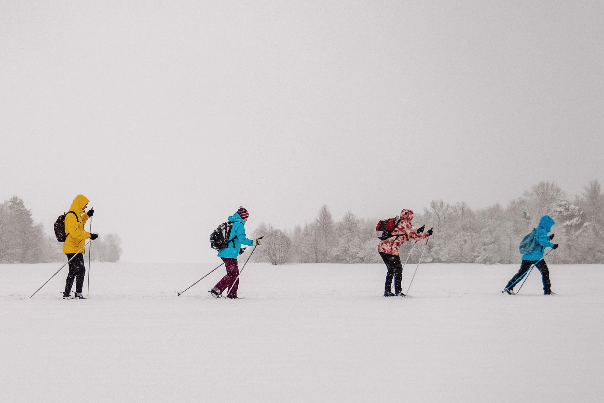 Лыжные тренировки в Санкт-Петербурге. Базовый уровень