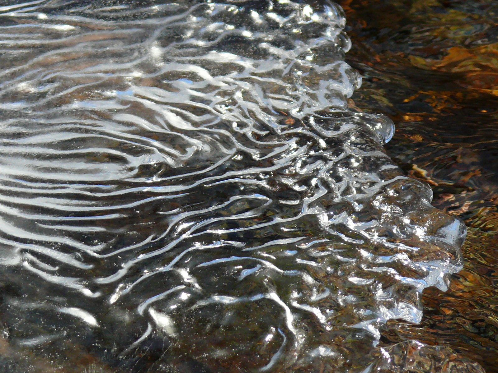 Треккинг в сердце природы — Алмарасан и Кок-Жайляу (7/35)