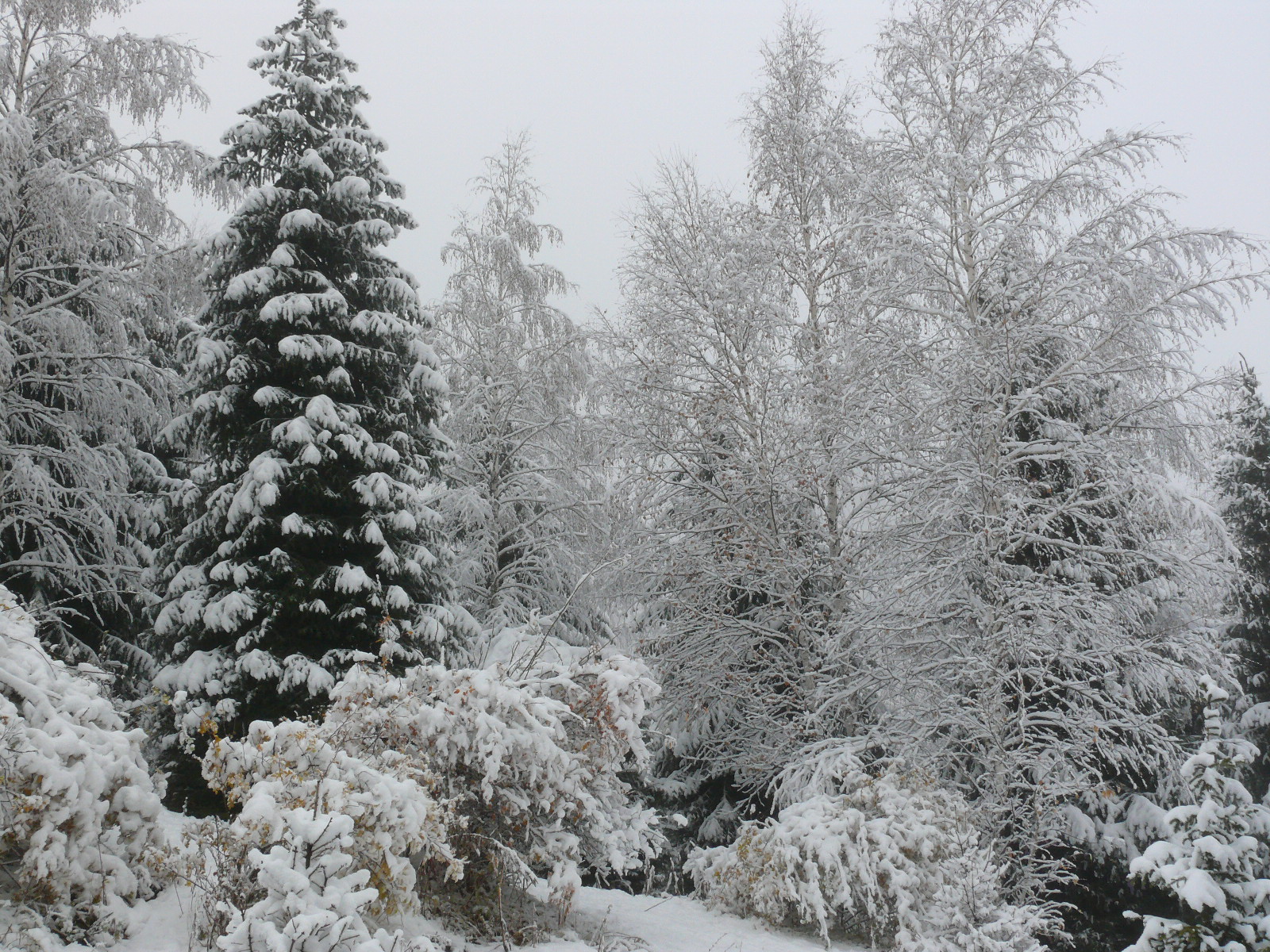 Треккинг в сердце природы — Алмарасан и Кок-Жайляу (10/35)