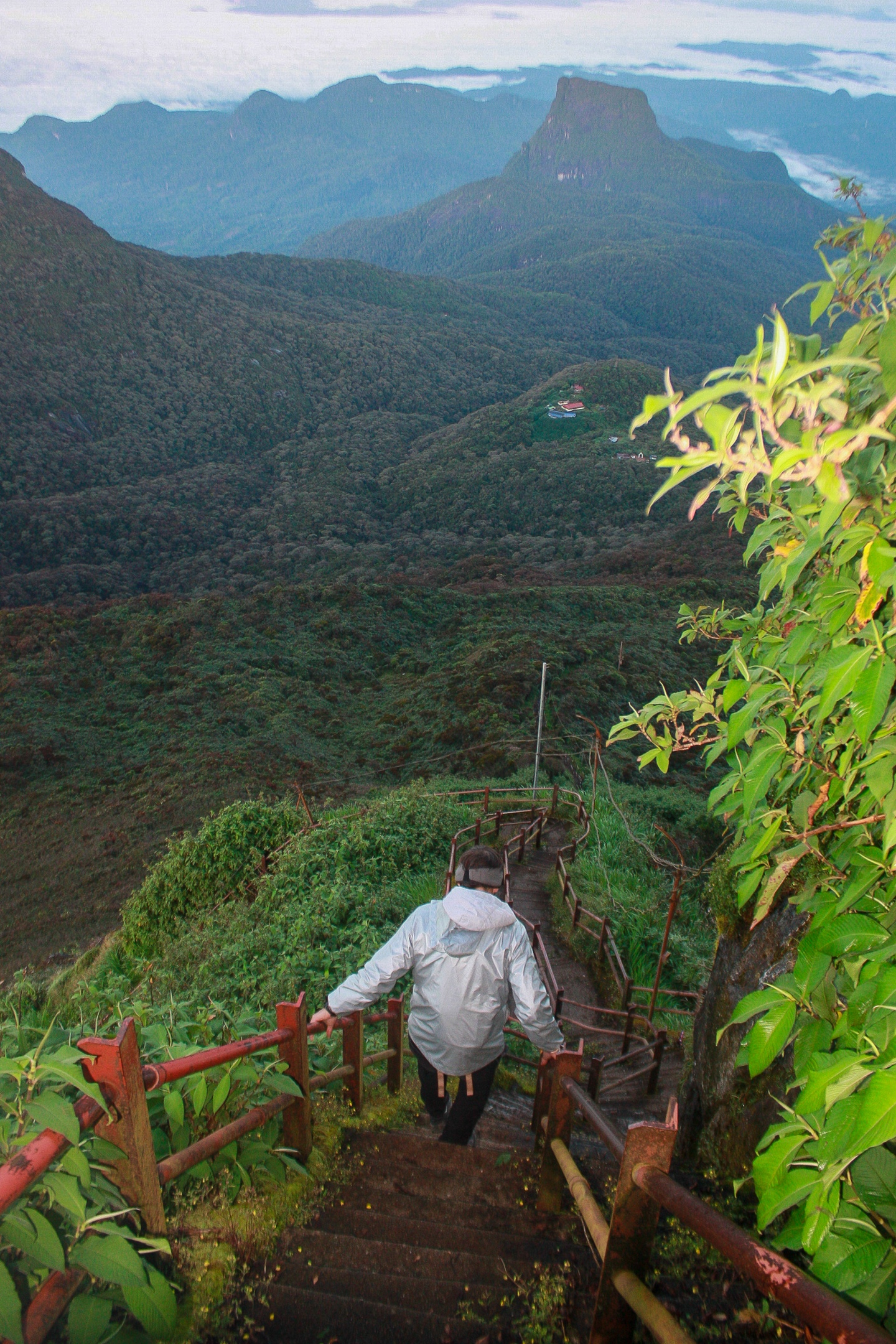 Шри-Ланка: океан, сафари и пик Адама (5/14)