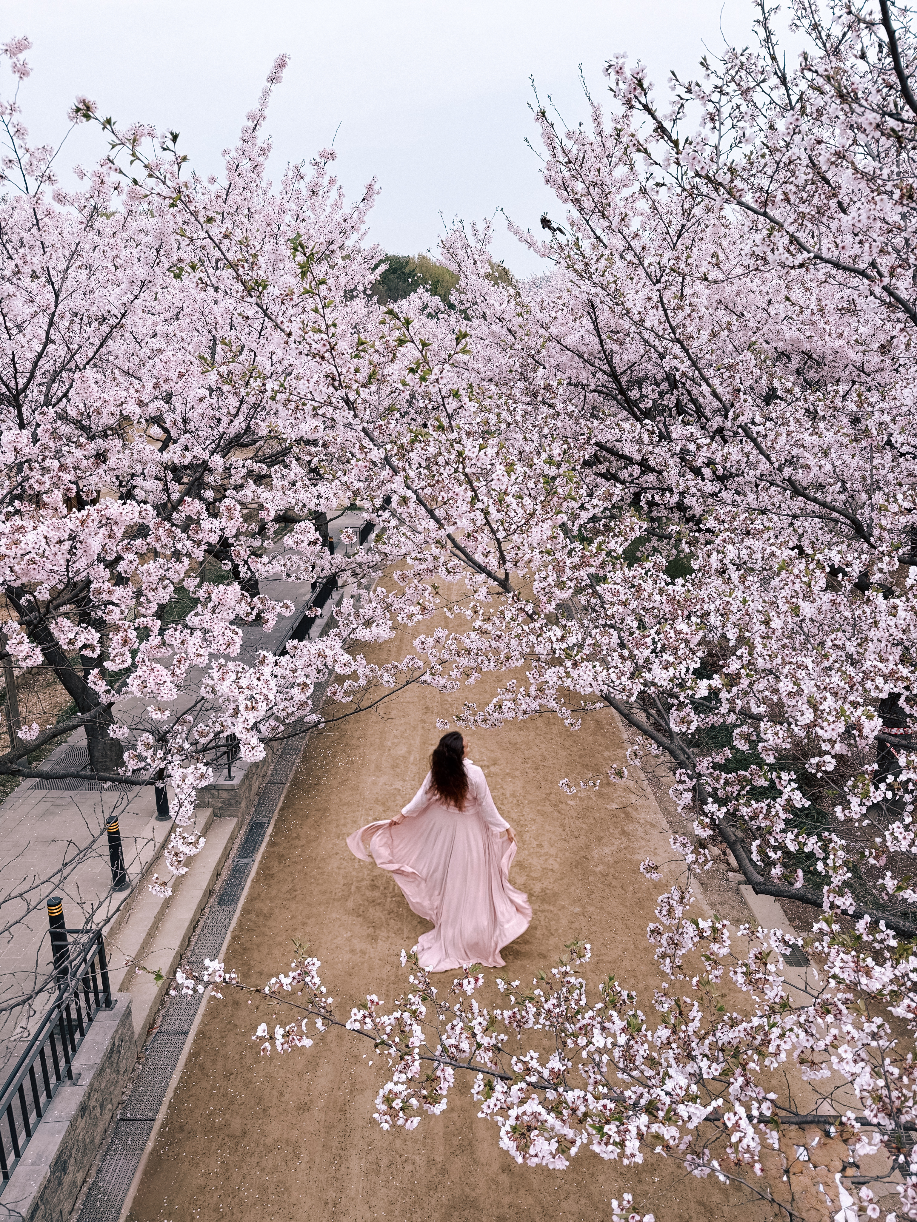 Цветение сакуры в Корее. Сеул+Пусан (56/94)
