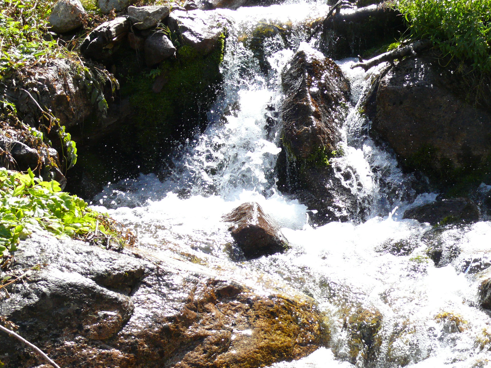 Треккинг в сердце природы — Алмарасан и Кок-Жайляу (23/35)