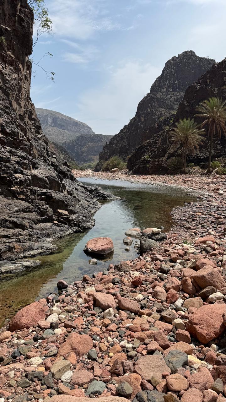 Сокотра: всё самое интересное за одну неделю (18/36)