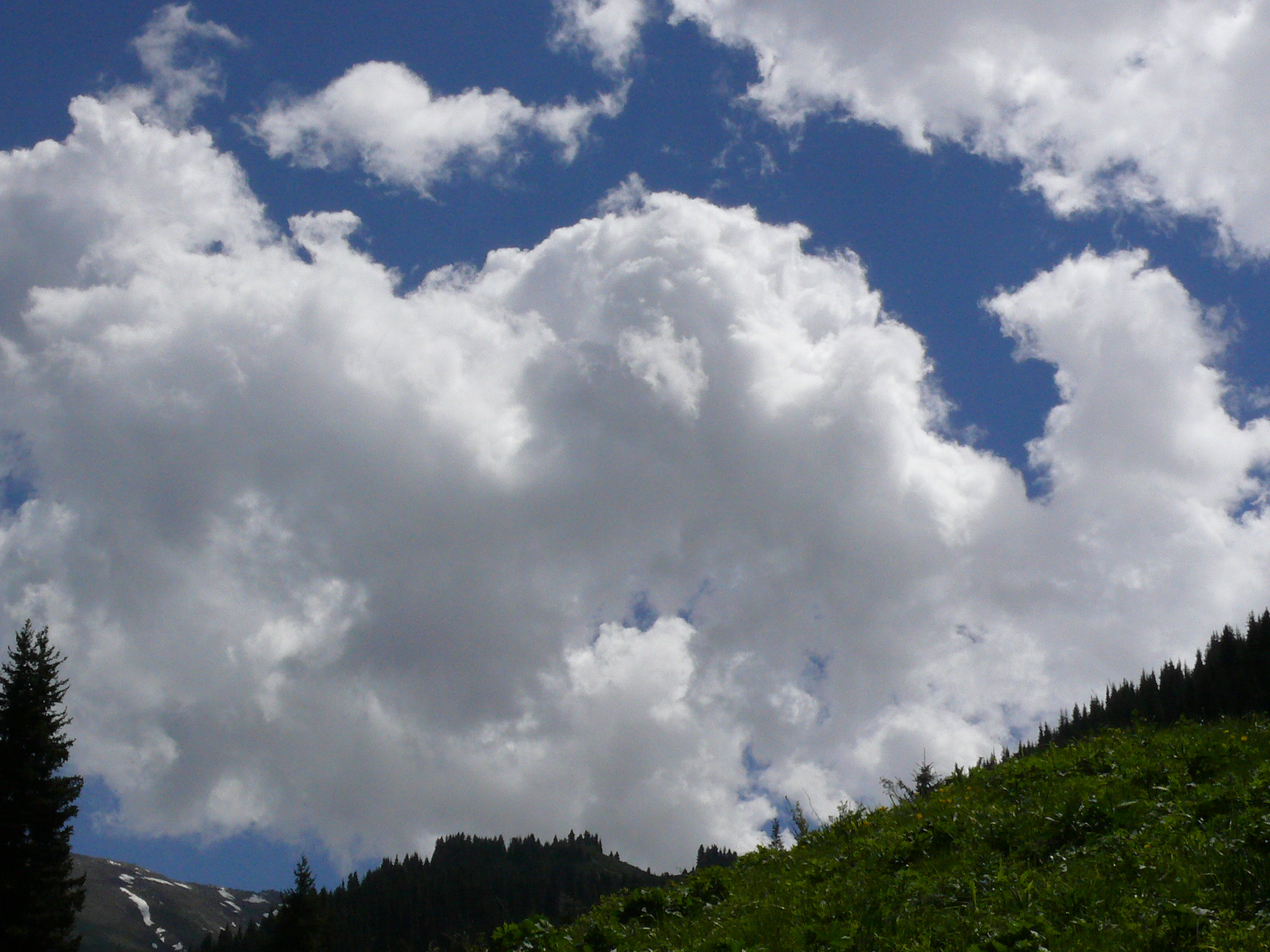 Треккинг в сердце природы — Алмарасан и Кок-Жайляу (13/35)