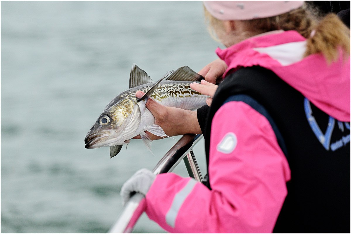 Морская прогулка бухта Русская